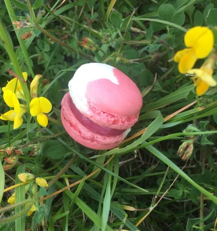 Meals in Logis Hotel Restaurant des Sapins