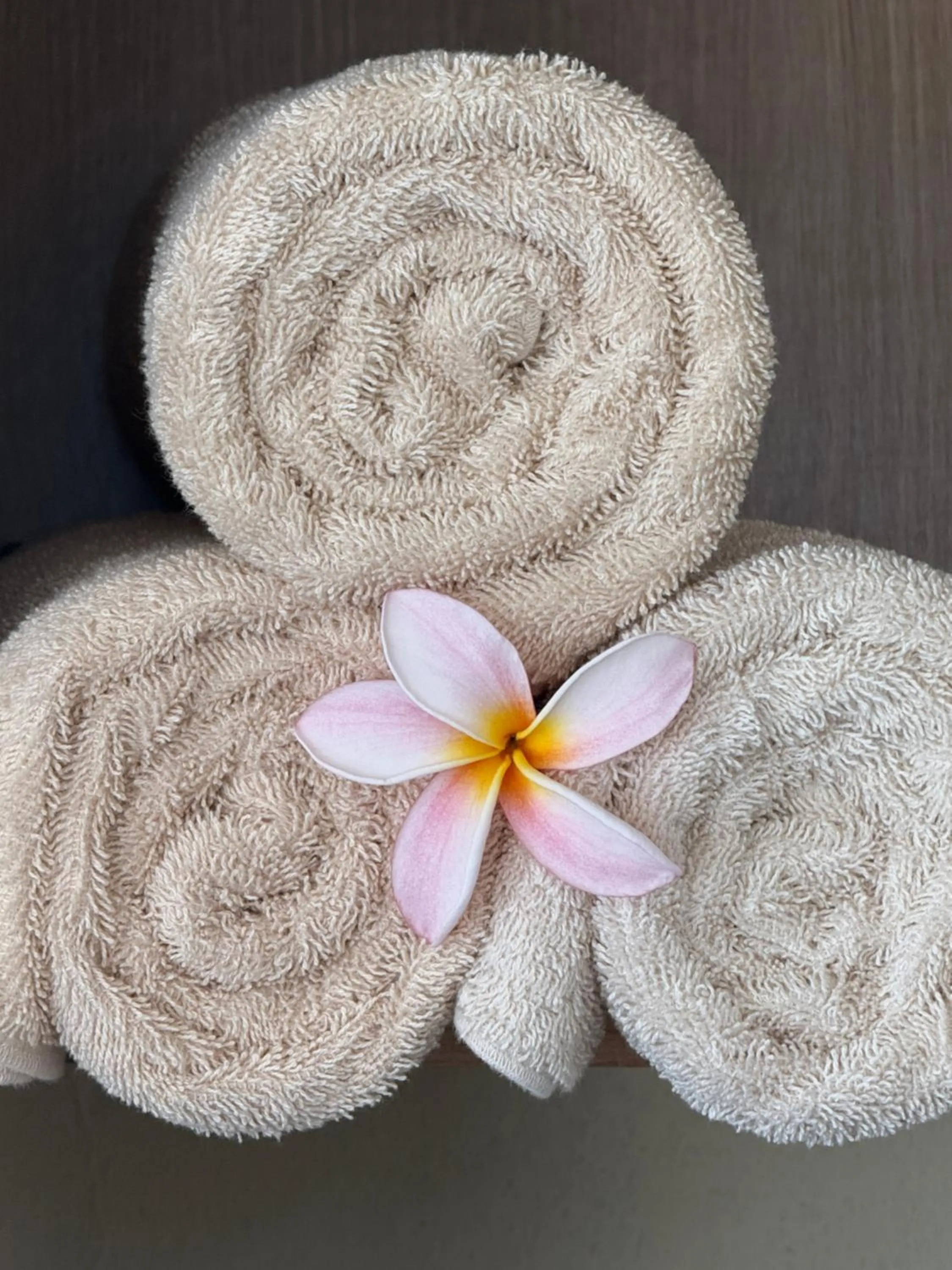 Spa and wellness centre/facilities in Ameg Lodge Kilimanjaro