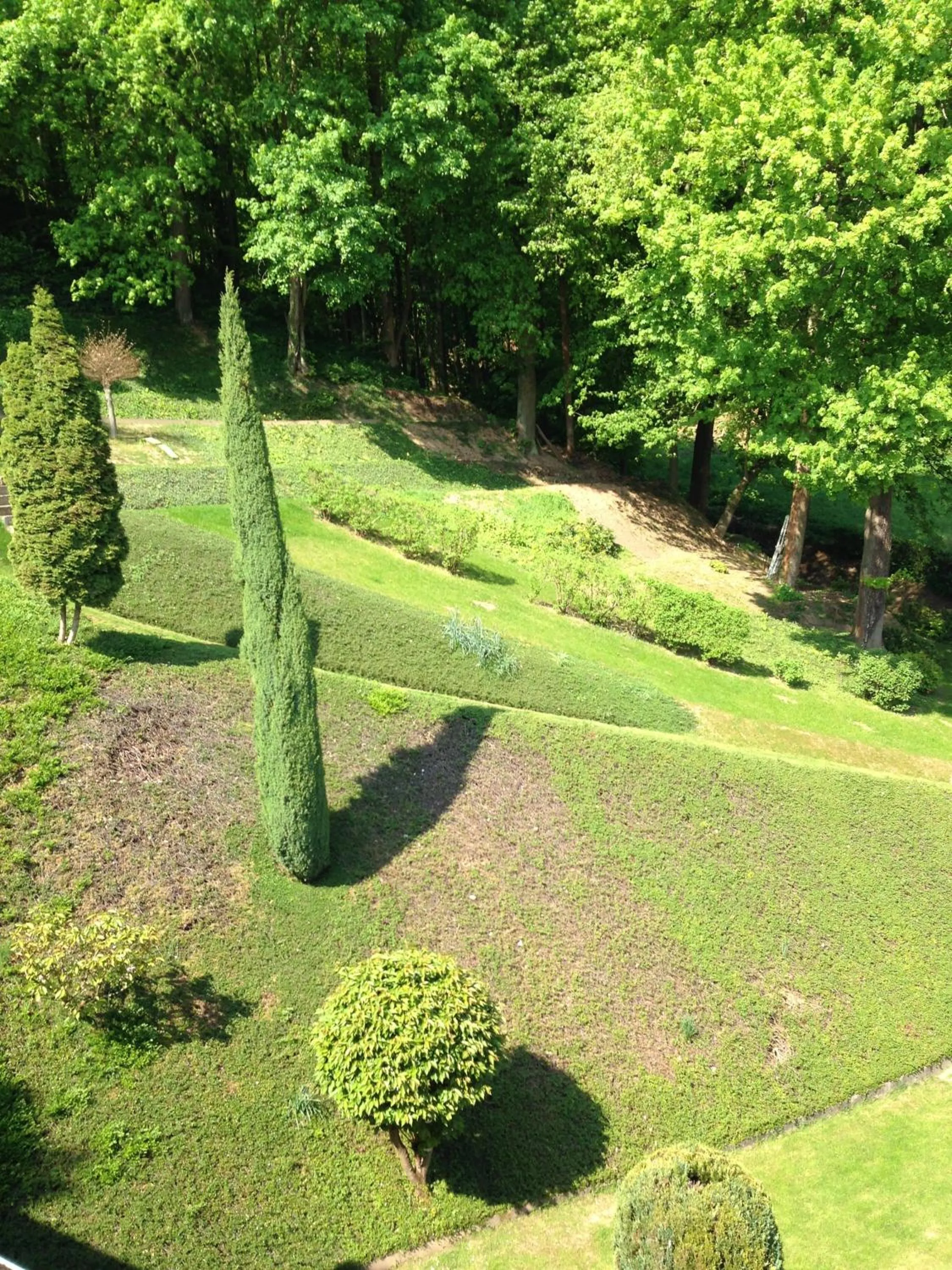 Garden in Hotel Martina