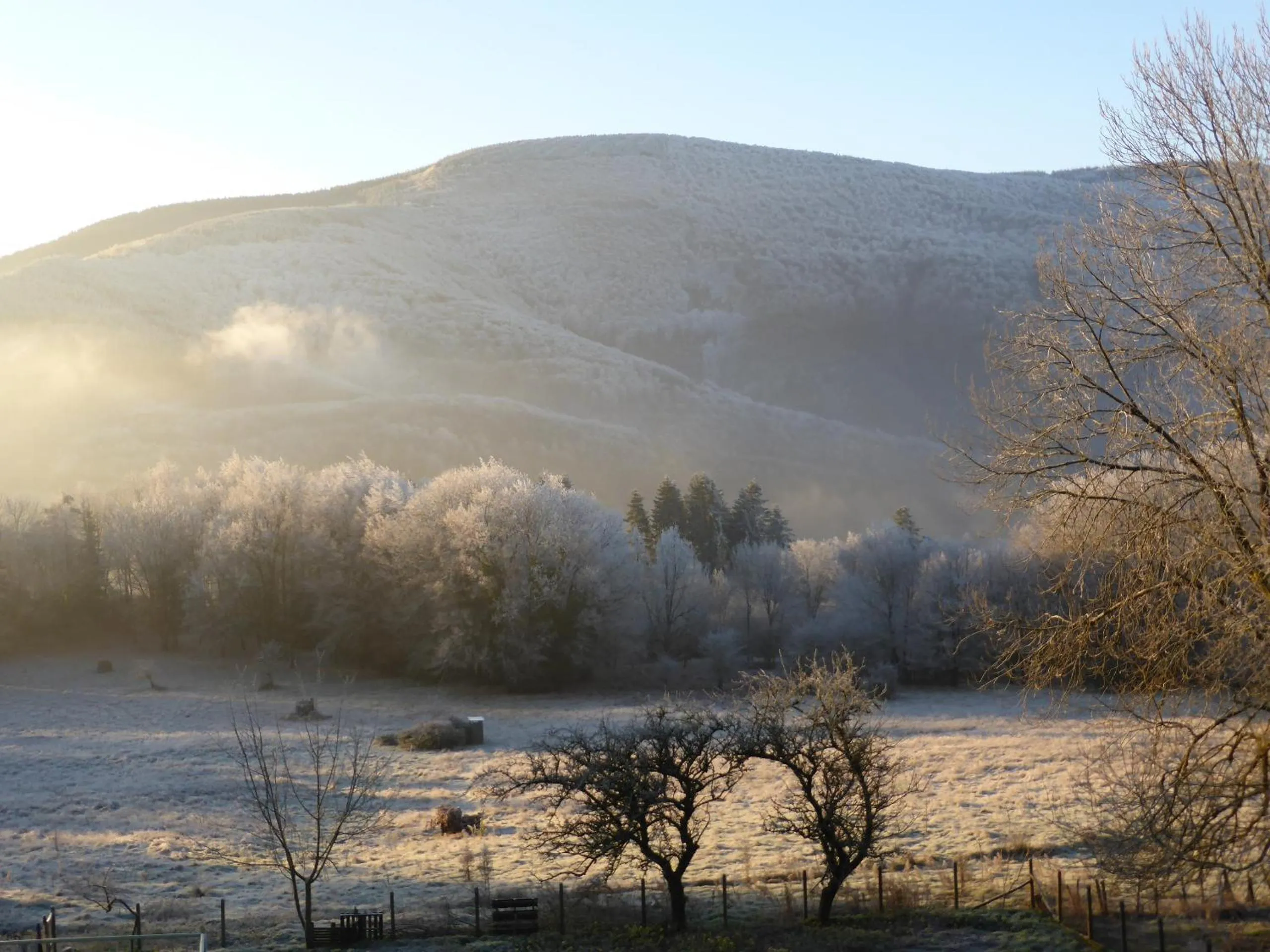 Garden view in La Bouriotte Chambre d'hôtes Bouton D'Or
