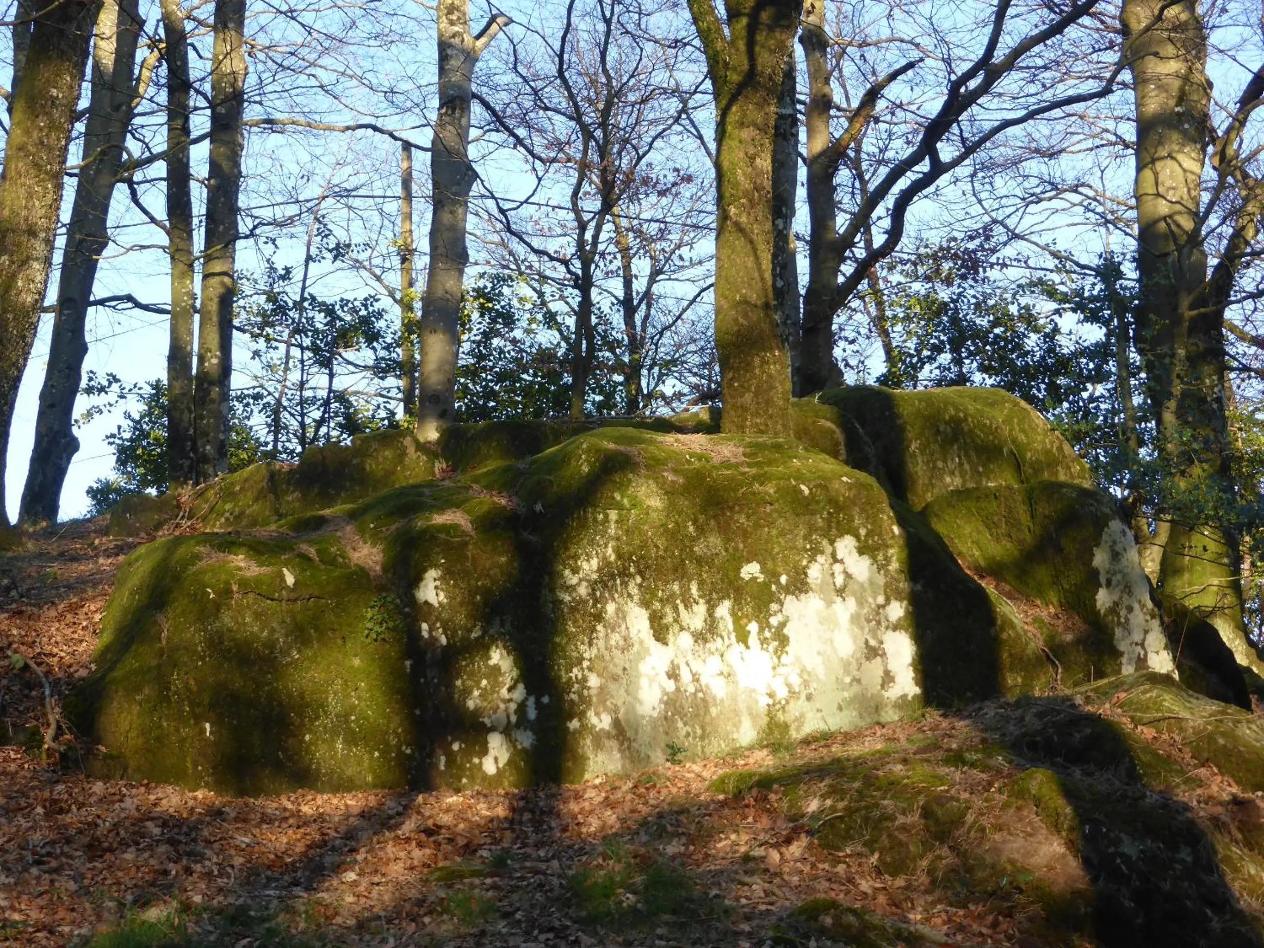 La Bouriotte Chambre d'hôtes Bouton D'Or