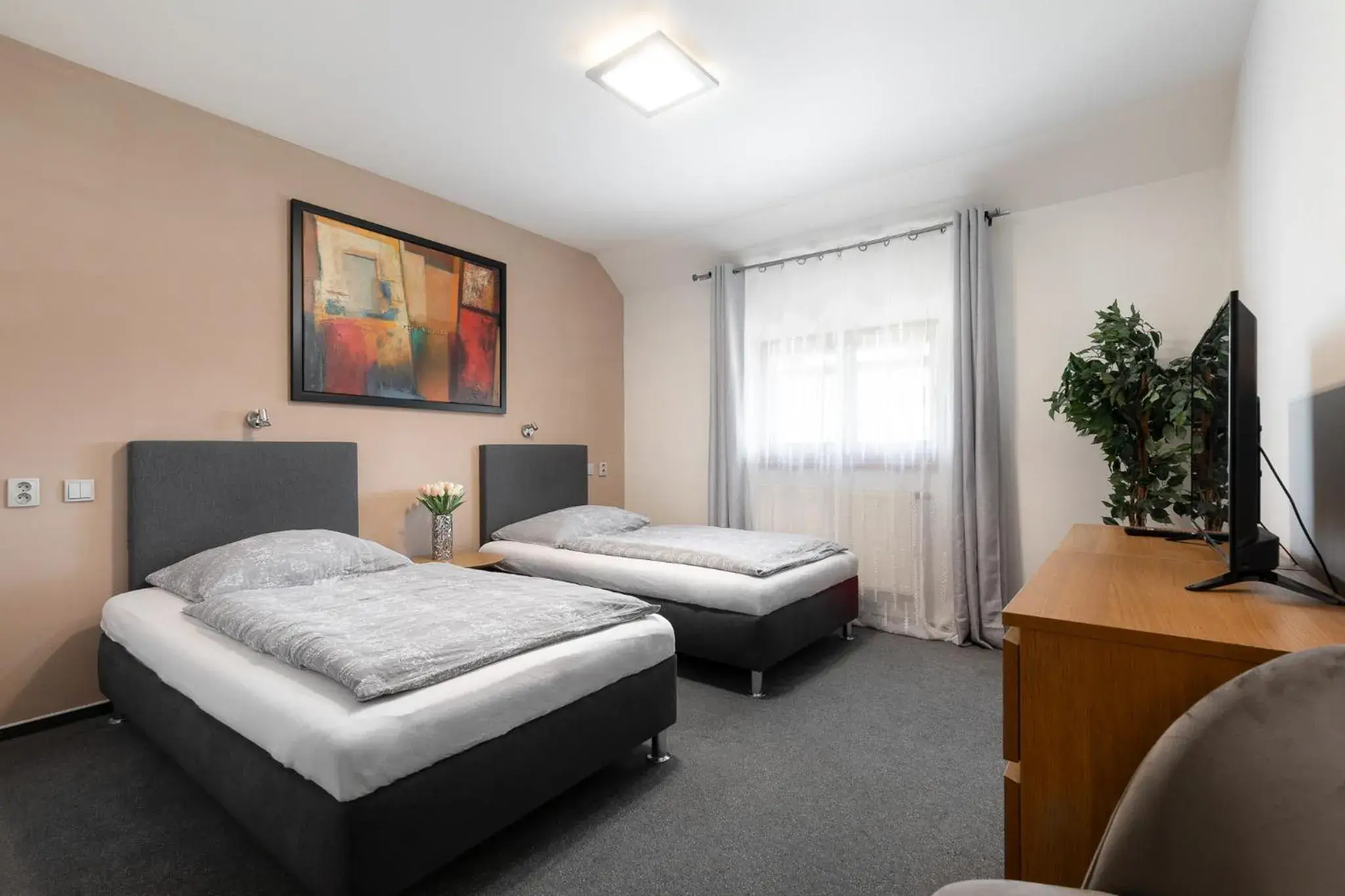 Twin Room - single occupancy in Hotel Algar Twin Room - single occupancy in Hotel Algar