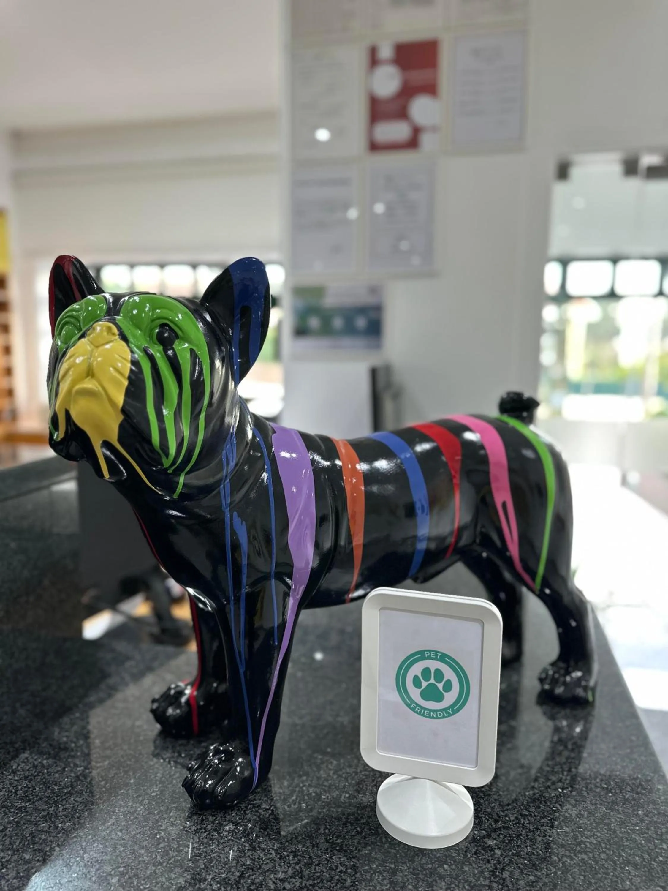 pet friendly in Residencial Dona Teresa