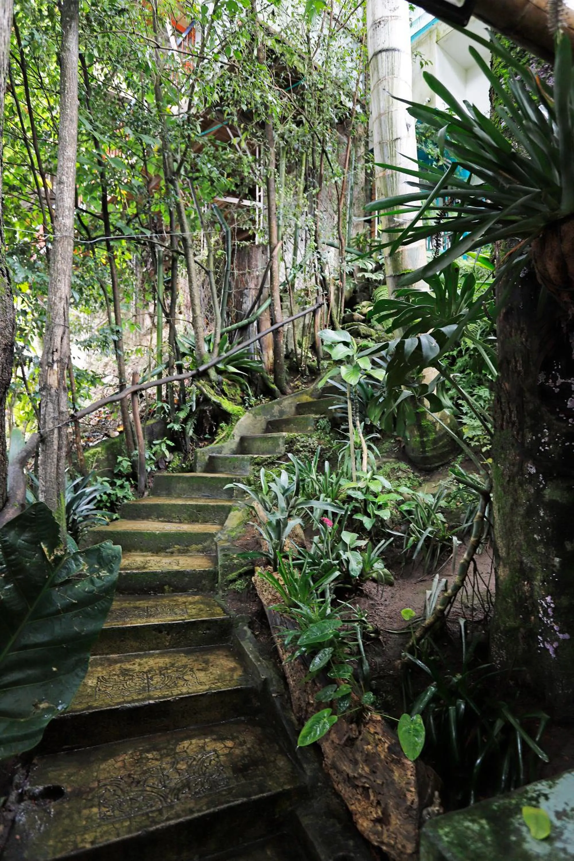 Garden view in Casa de las Dos Palmas