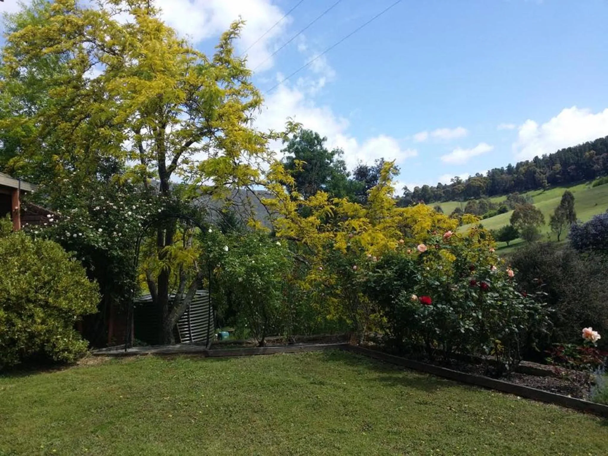 Property building in Rosewhite House