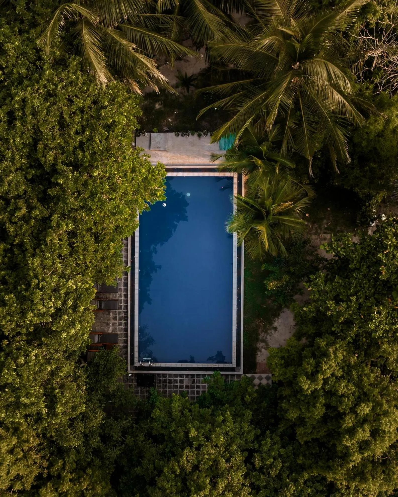 Pool view in C Beyond Nilaveli