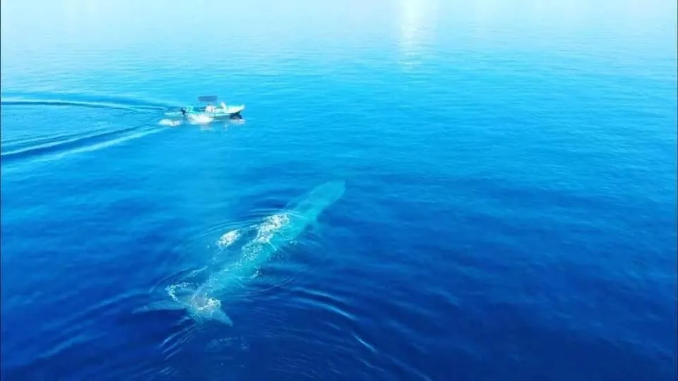 Natural landscape in C Beyond Nilaveli