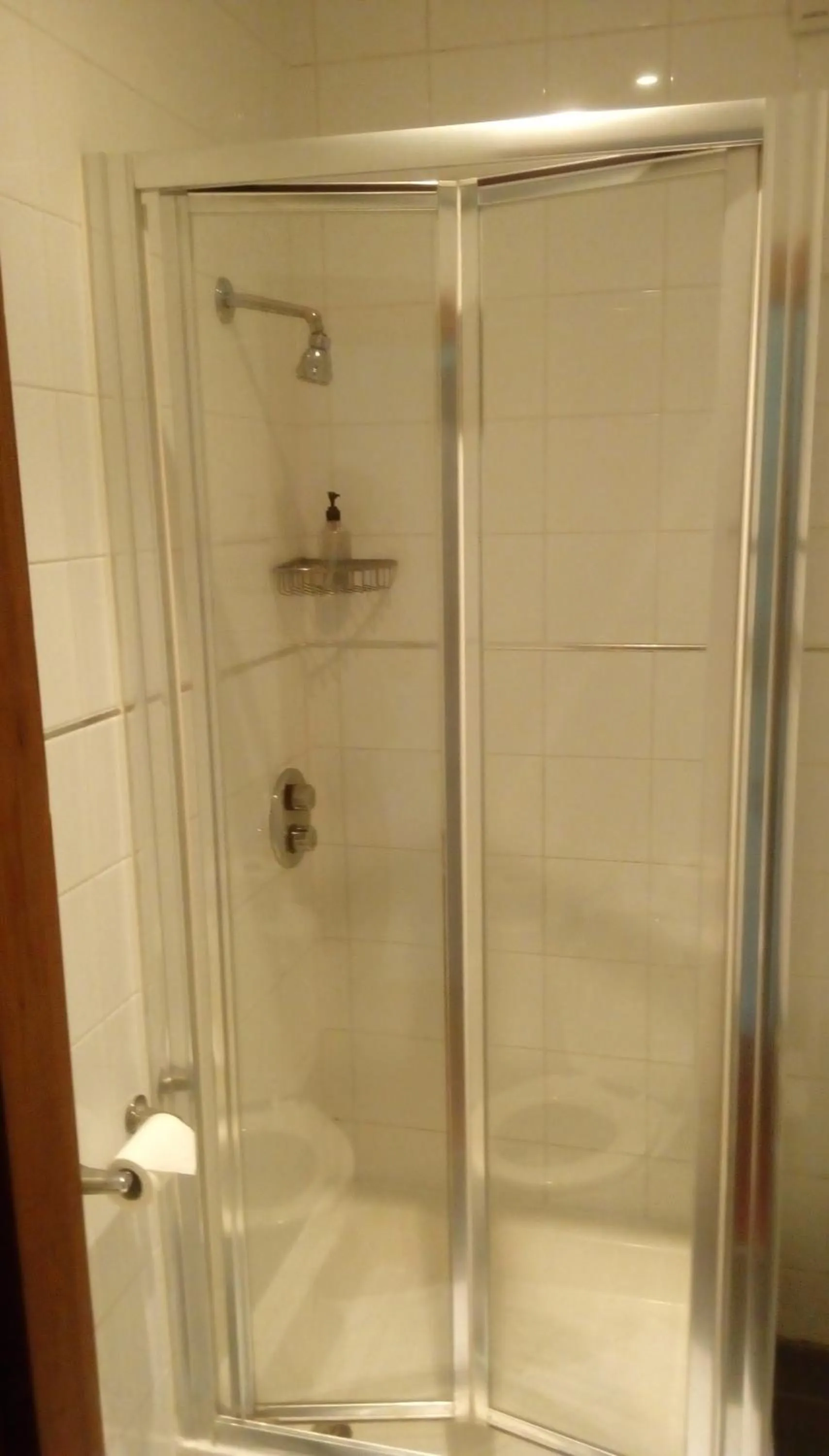 Shower in The Brent Hotel - London - Wembley