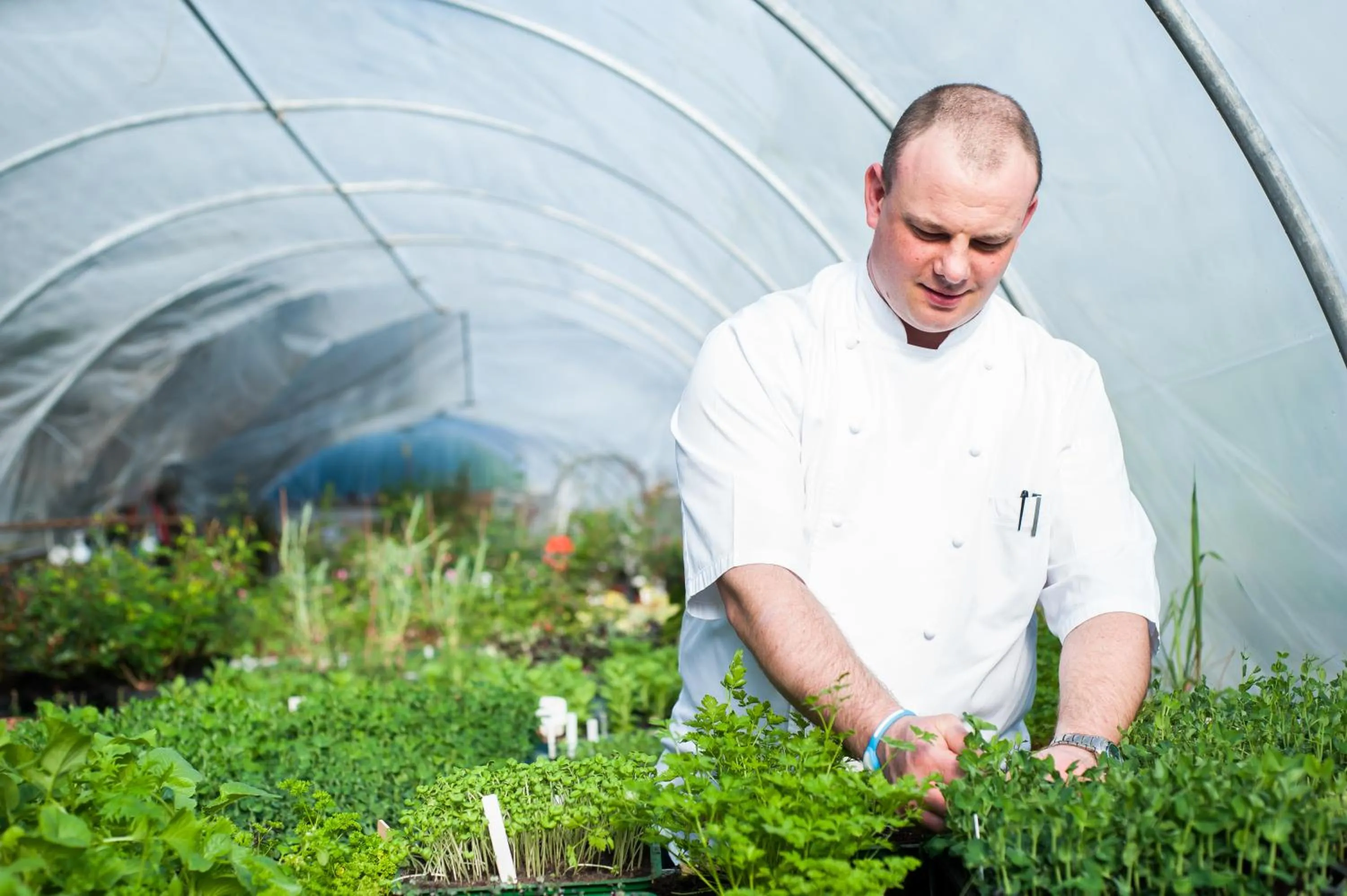 Food and drinks in Summer Lodge Country House Hotel