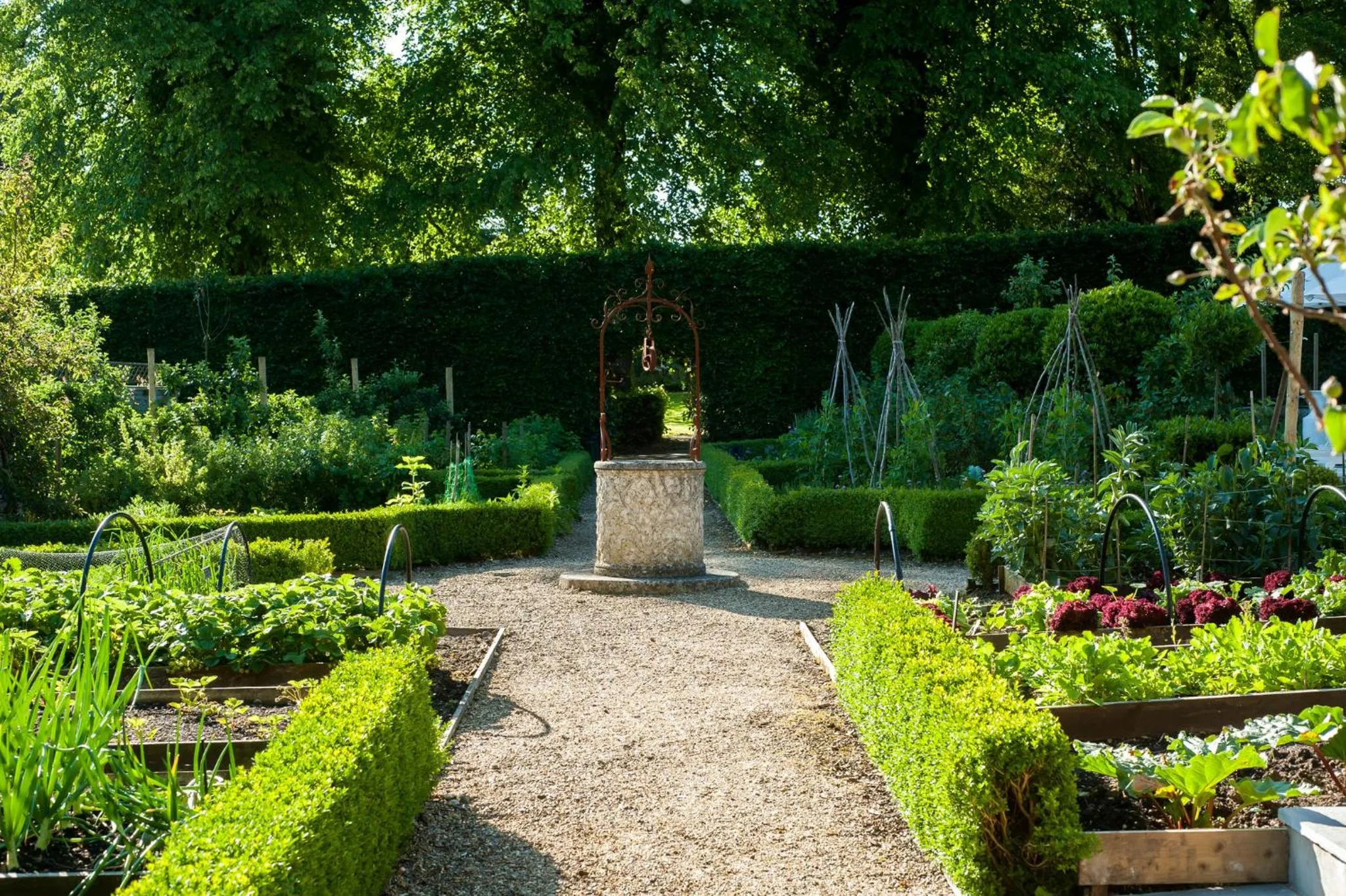 Garden in Summer Lodge Country House Hotel
