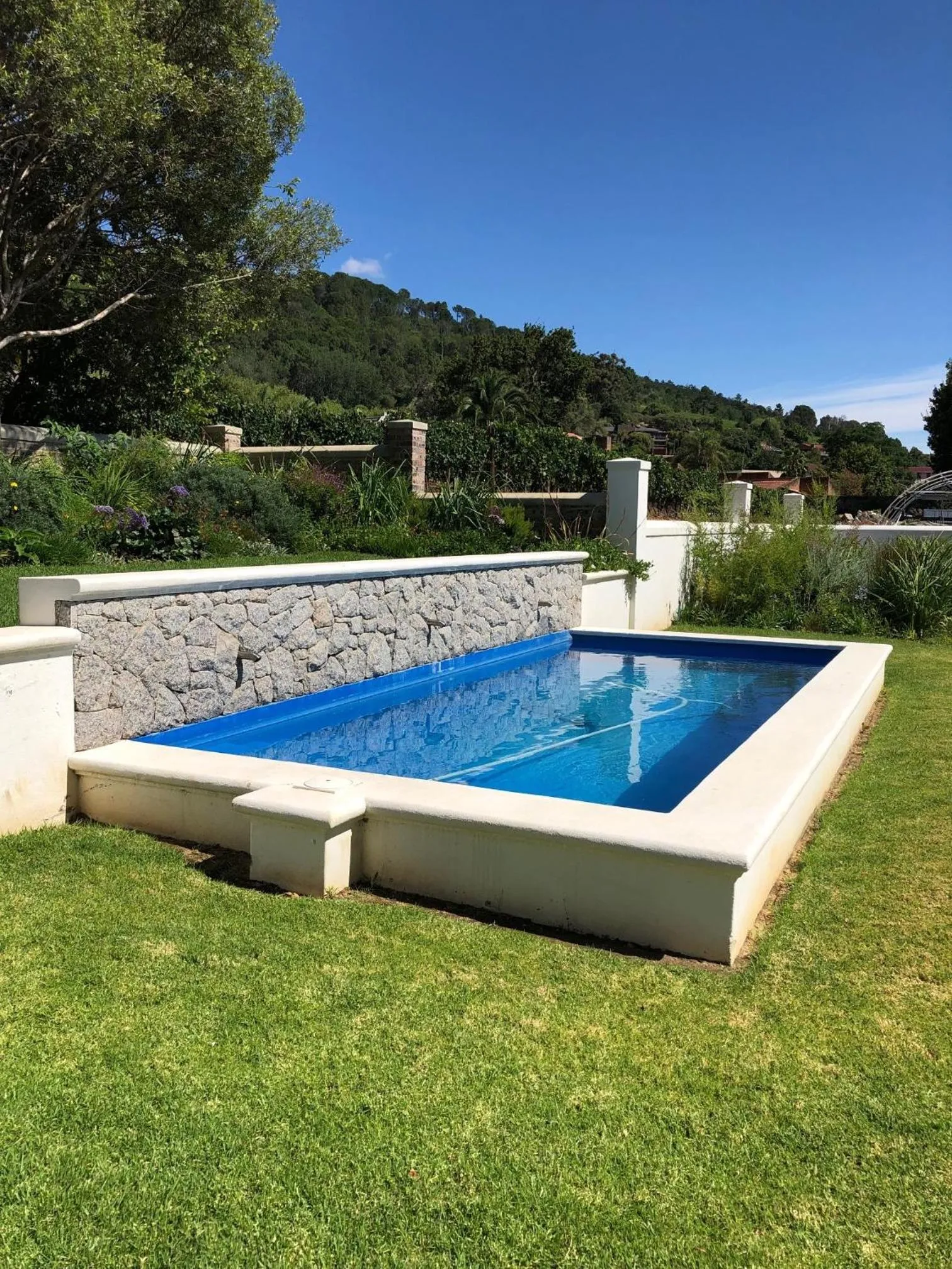 Swimming pool in d'Olyfboom Guest House B & B