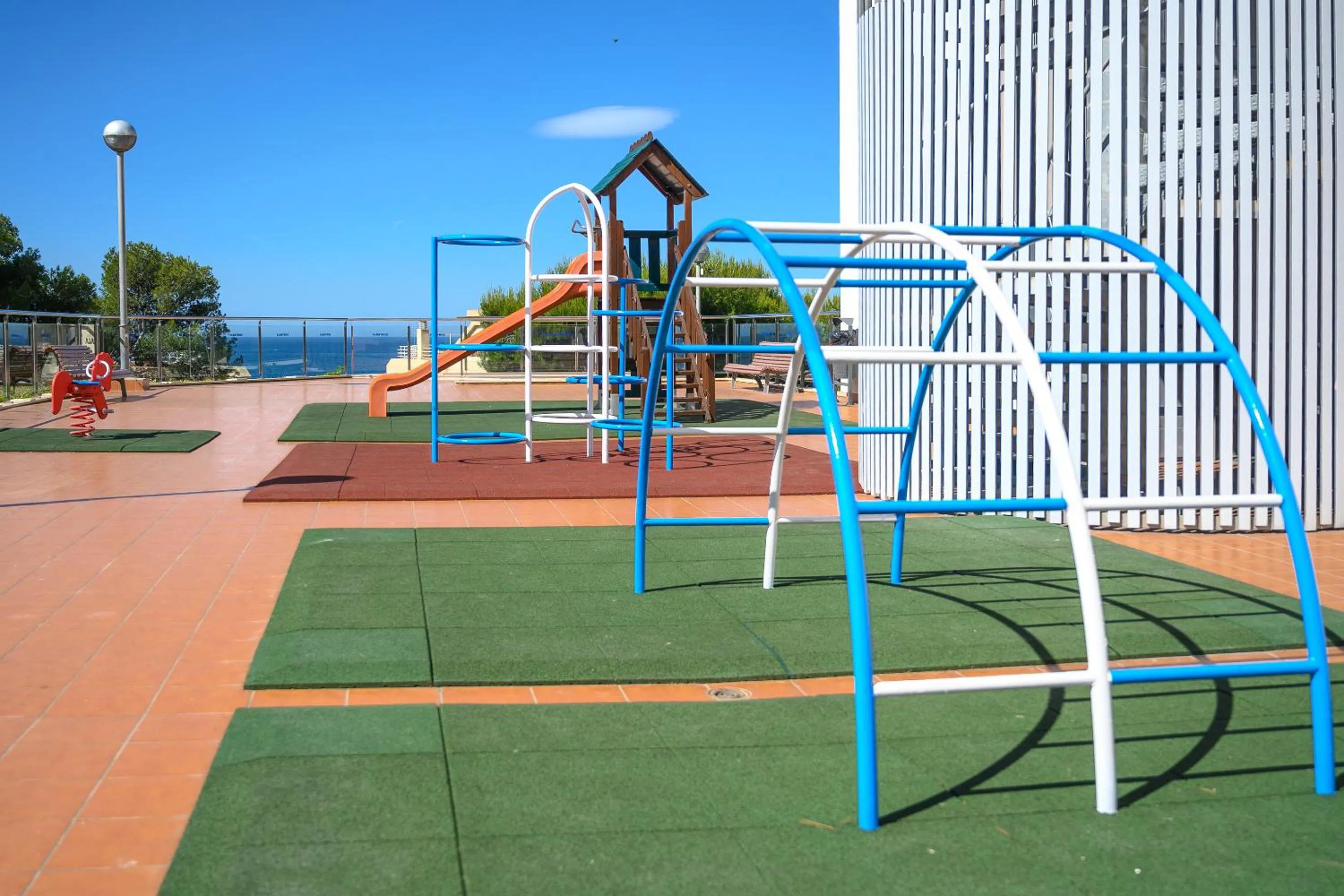 Day in Albatros Family