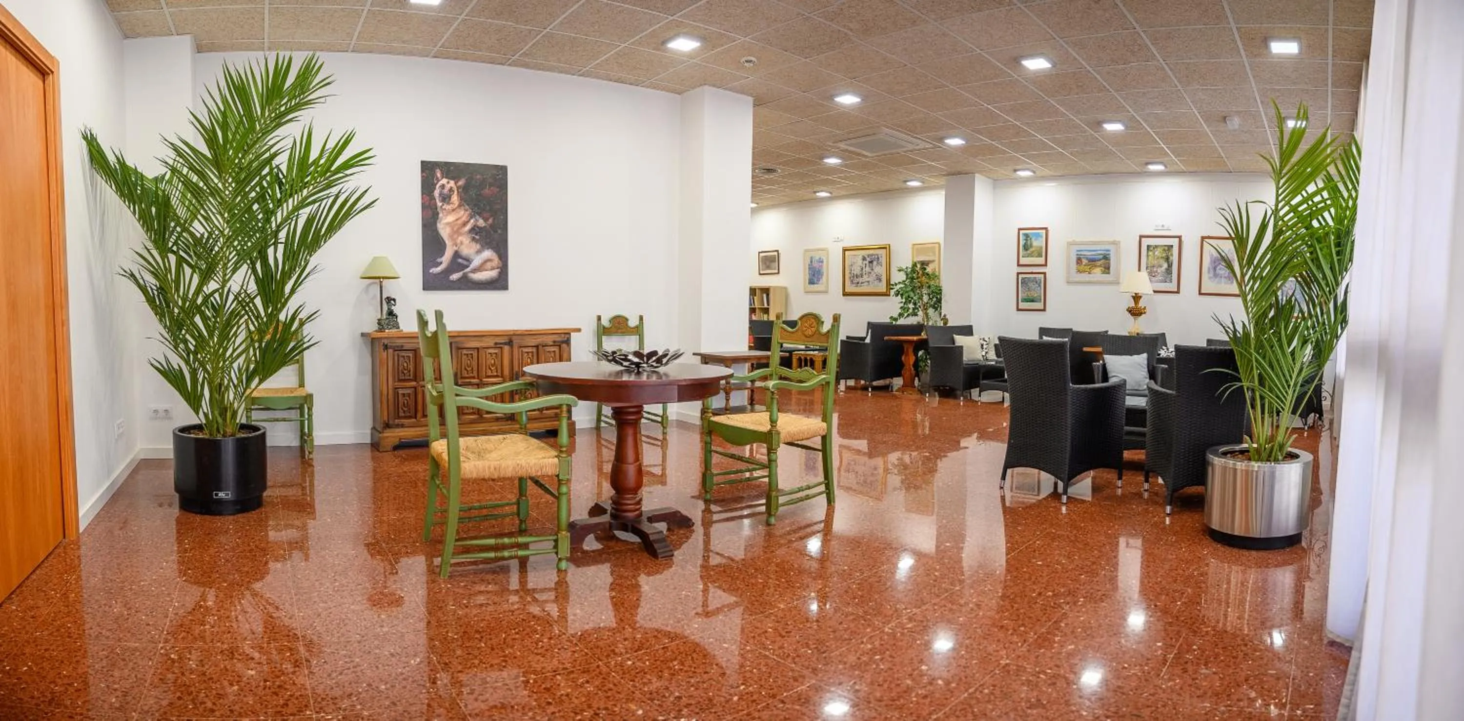 Living room in Albatros Family