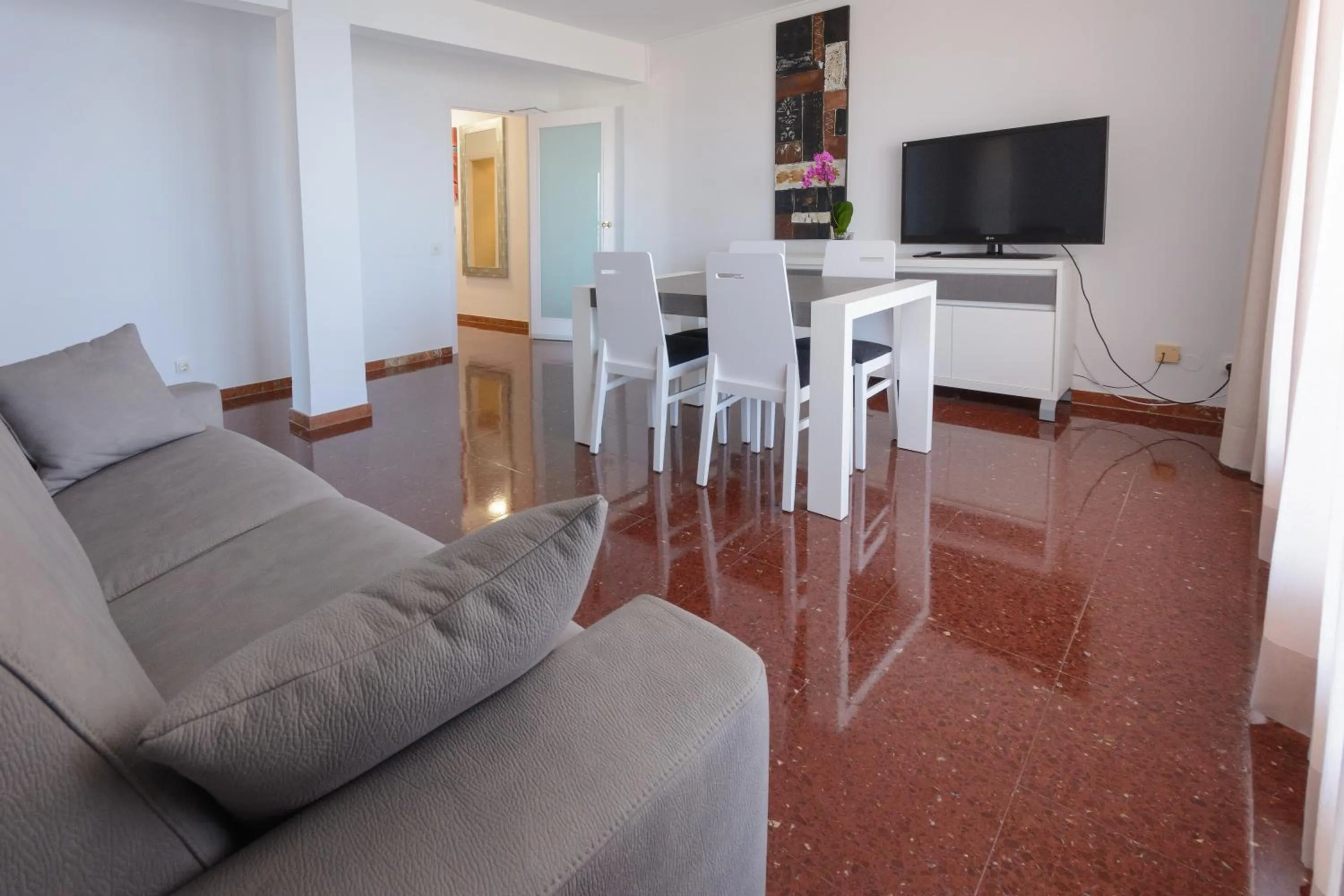 TV and multimedia in Albatros Family