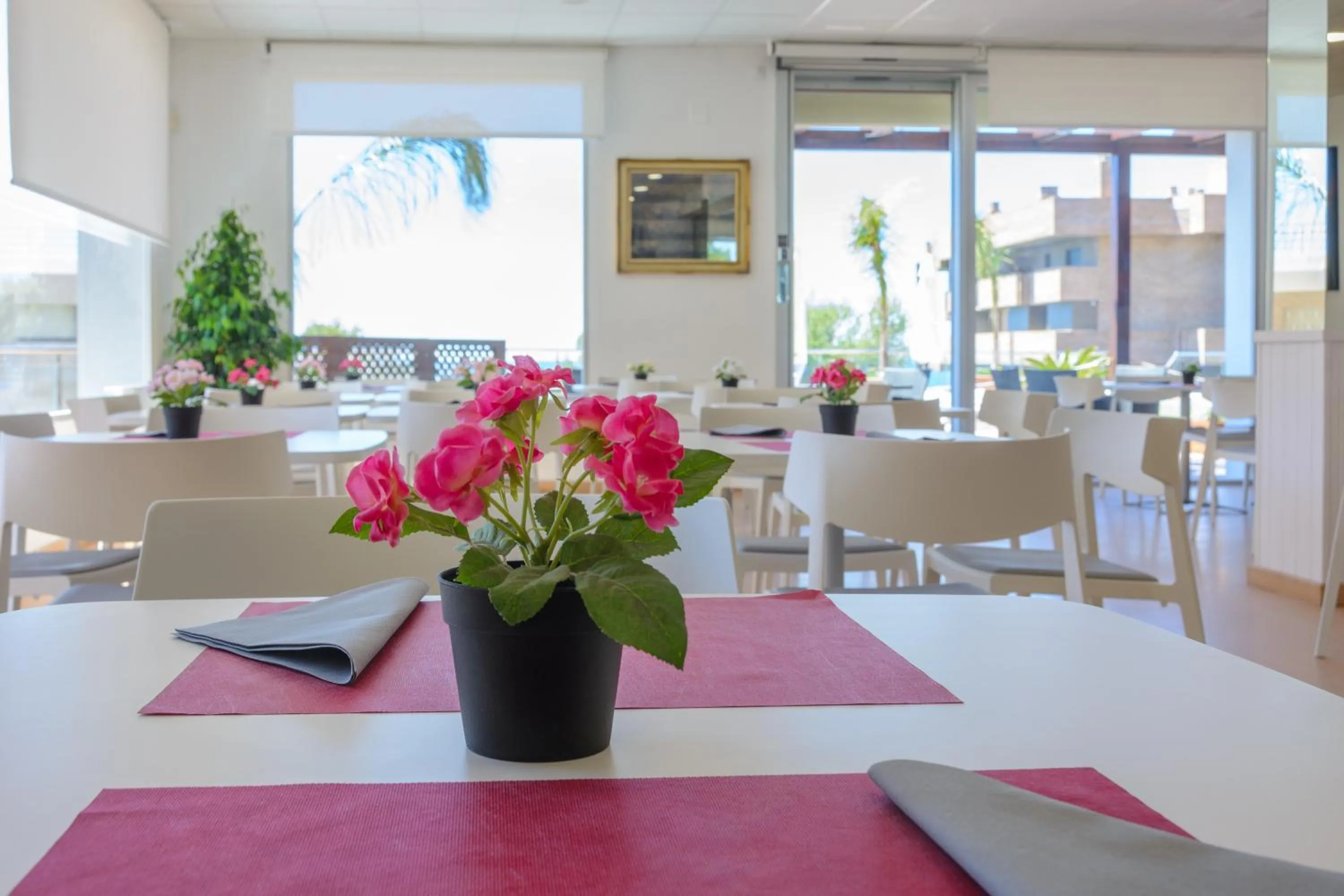 Restaurant/places to eat in Albatros Family