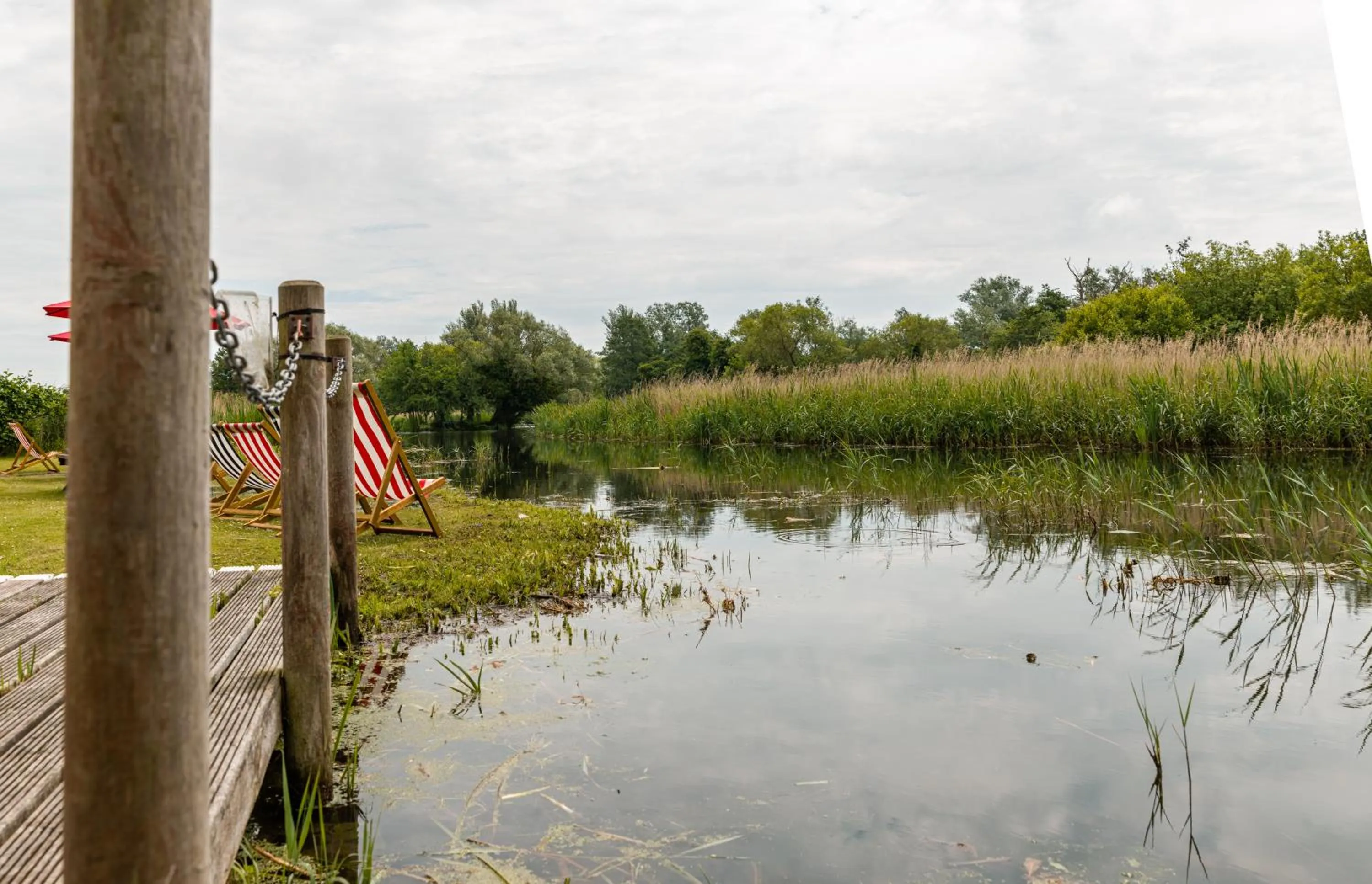 Natural landscape in Thorpeness Golf Club and Hotel
