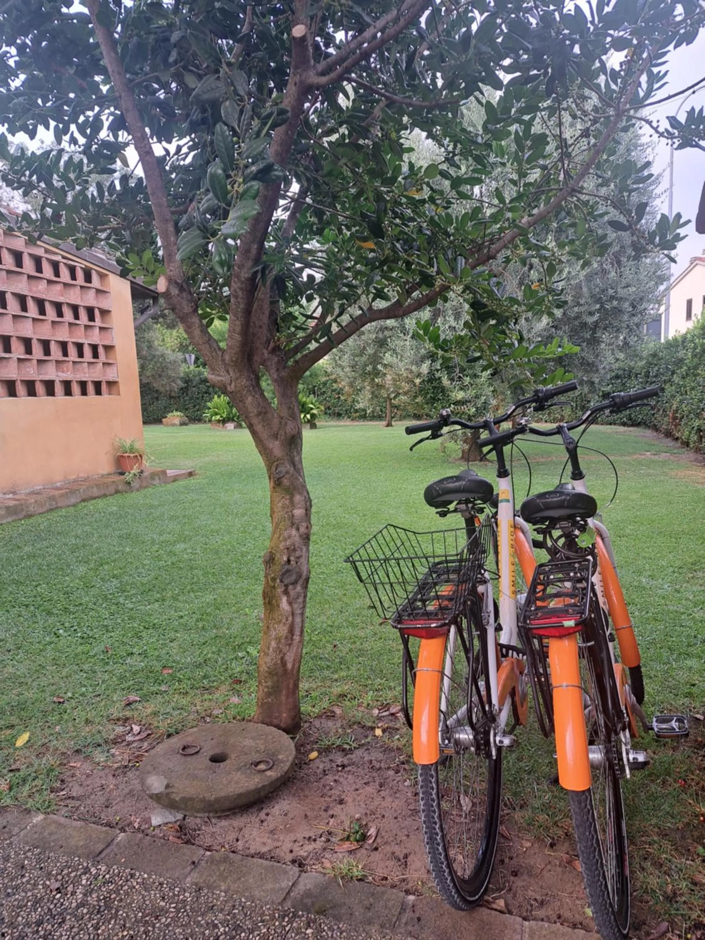 B&B La corte di Stelio