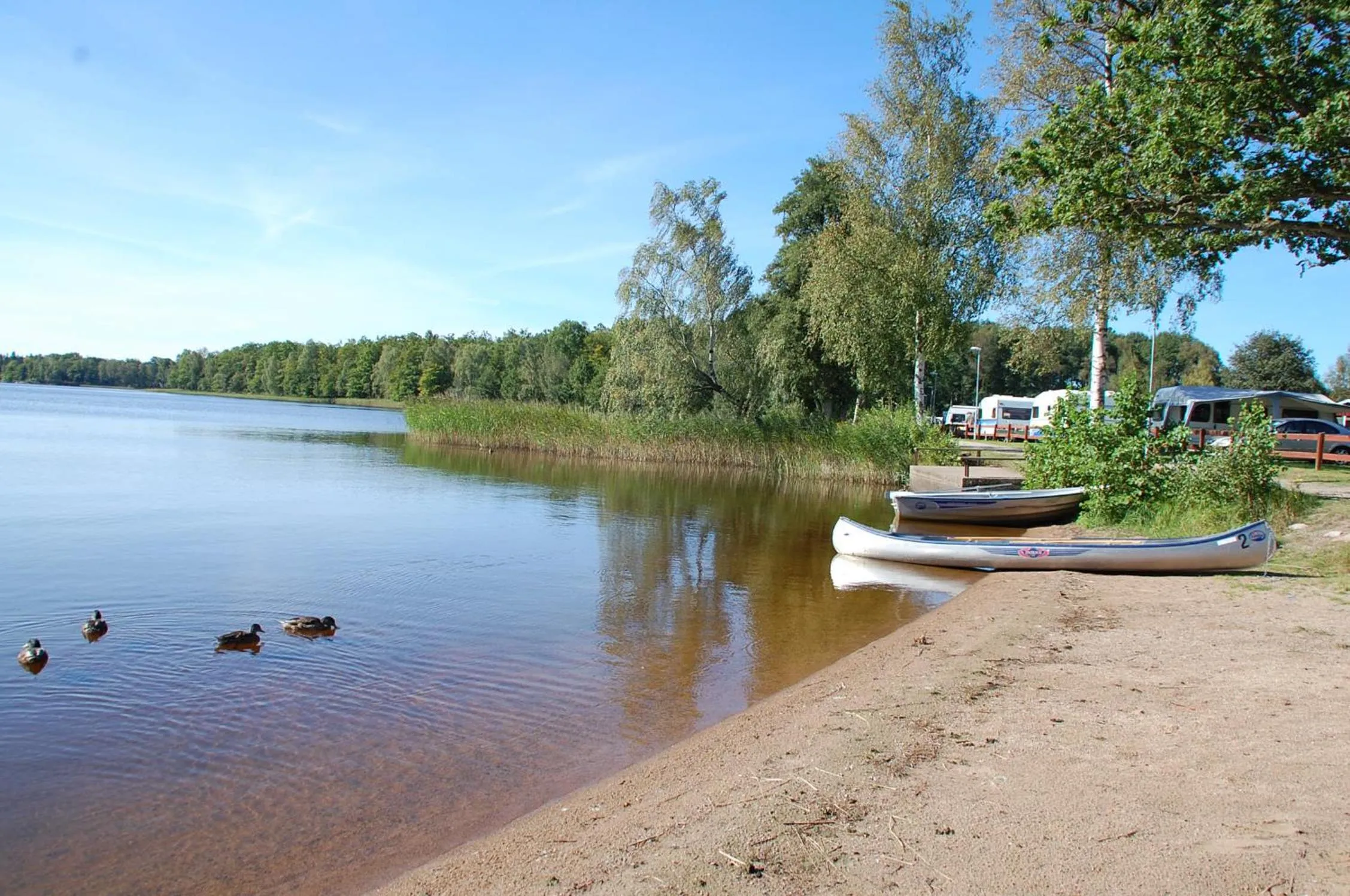 Beach in Tingsryd Resort