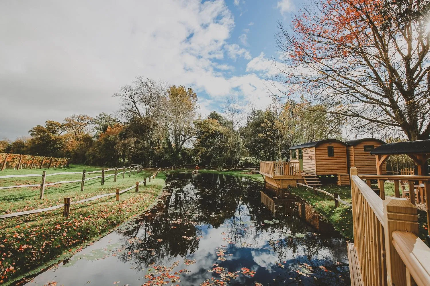 Natural landscape in Lympstone Manor Hotel Restaurant & Vineyard - Relais & Chateaux