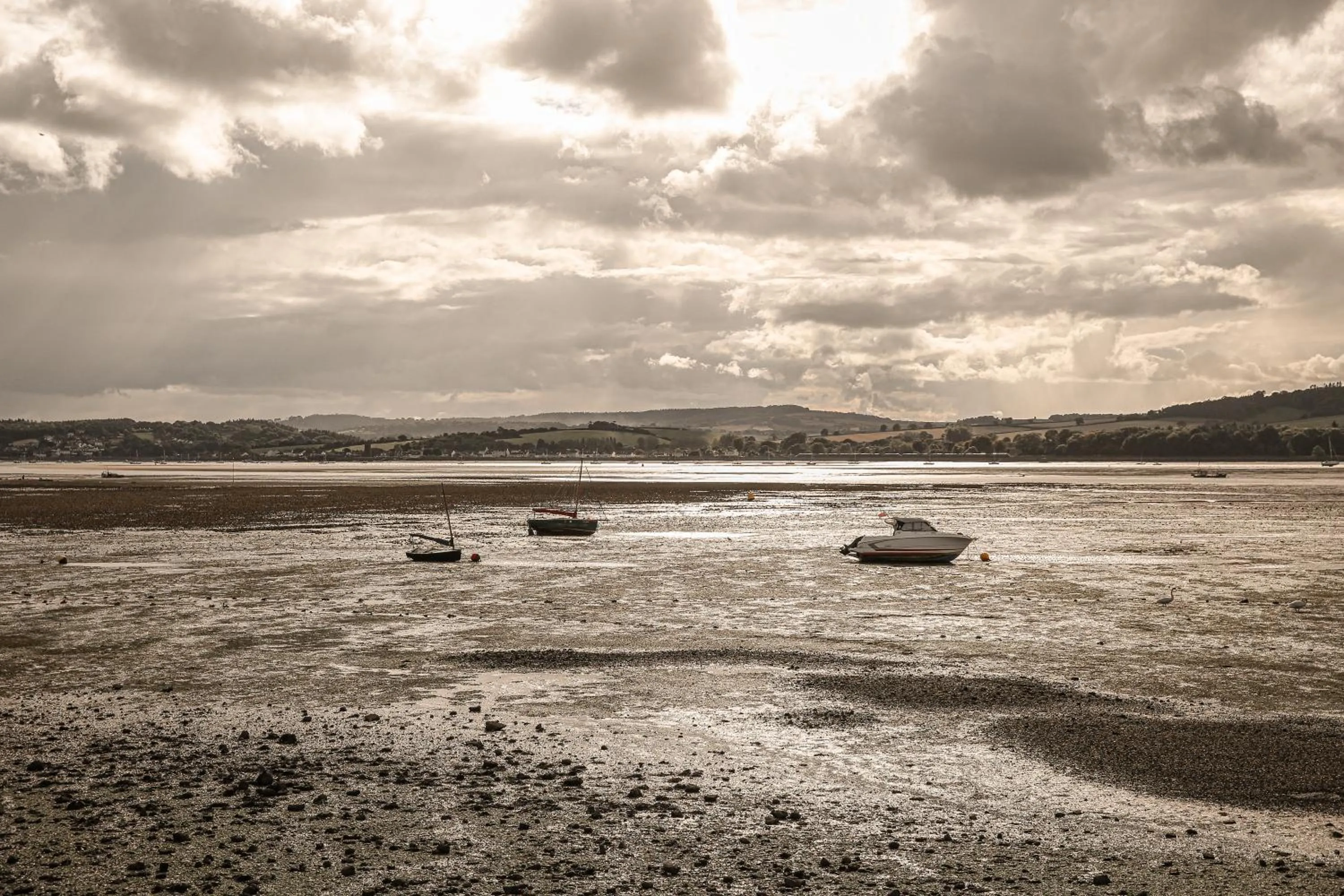 Natural landscape in Lympstone Manor Hotel Restaurant & Vineyard - Relais & Chateaux