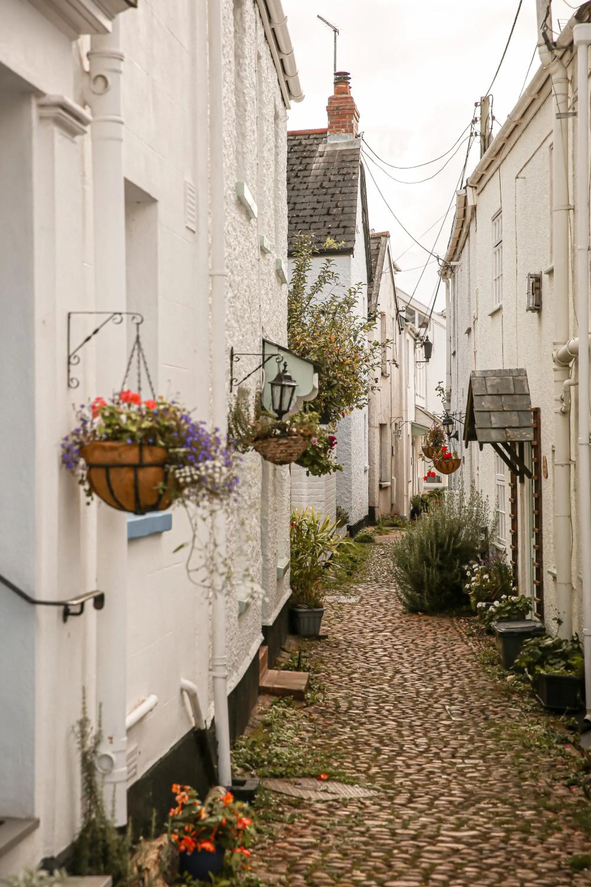 Area and facilities in Lympstone Manor Hotel Restaurant & Vineyard - Relais & Chateaux