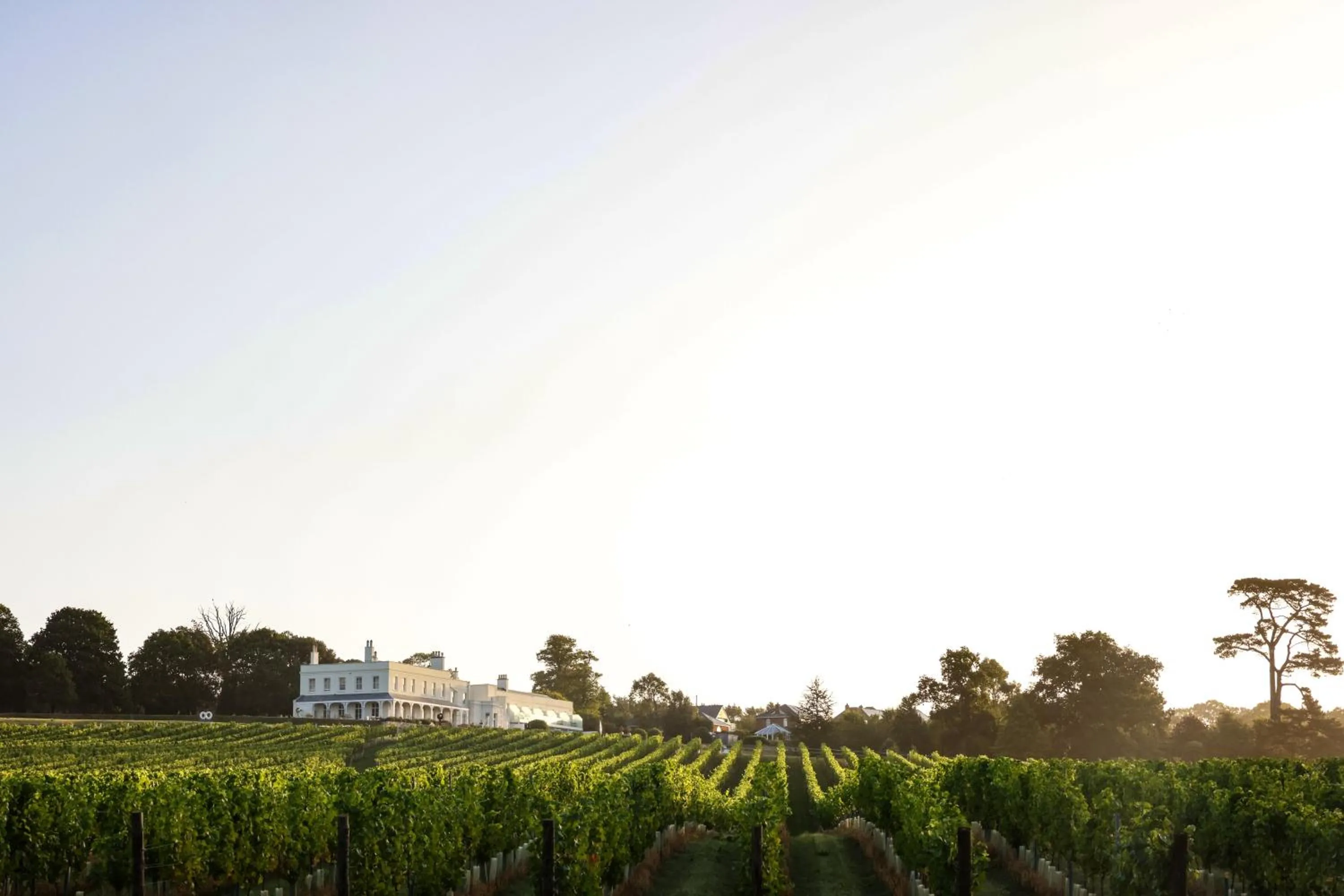 Garden in Lympstone Manor Hotel Restaurant & Vineyard - Relais & Chateaux
