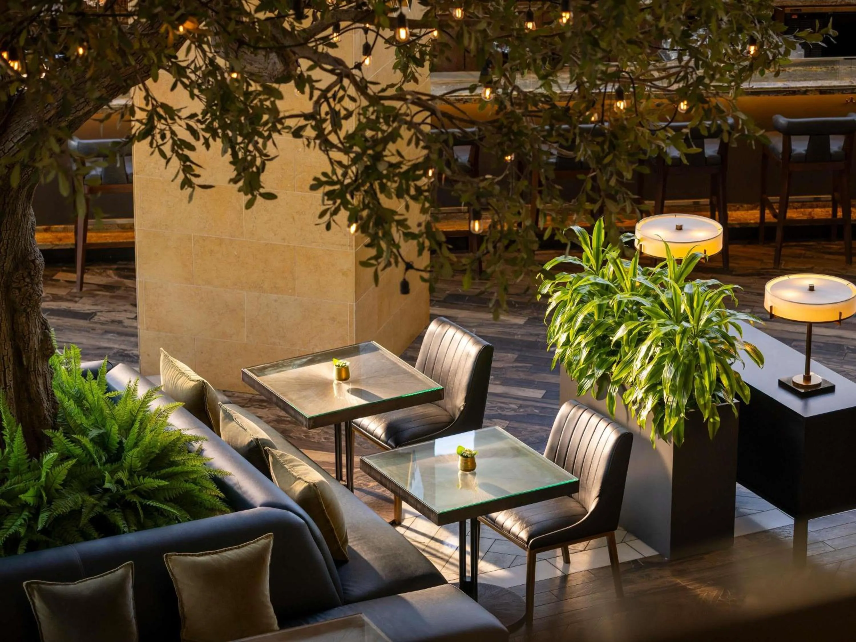 Lounge or bar in Fairmont Austin
