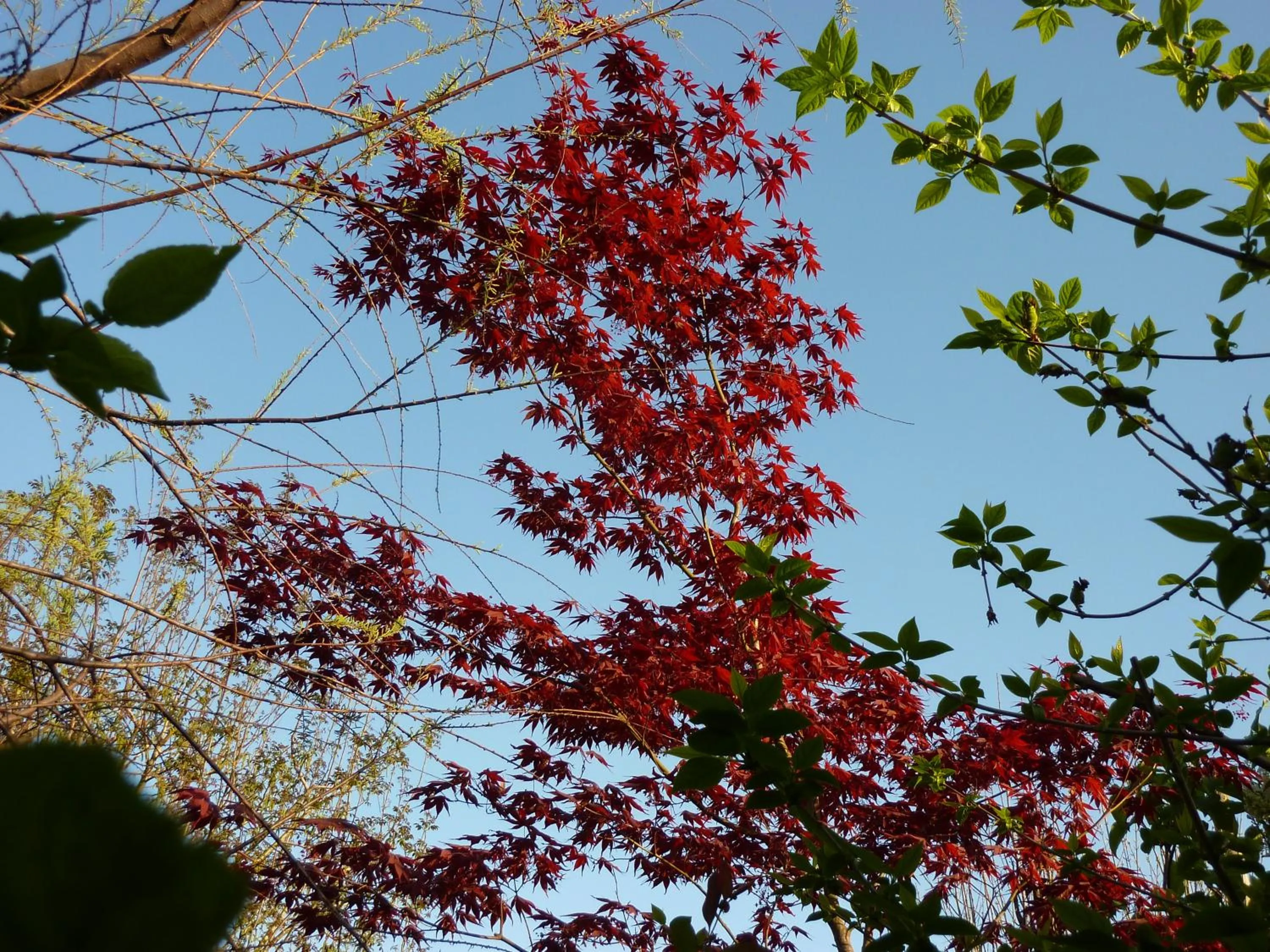 Autumn in B&B La Tamerice
