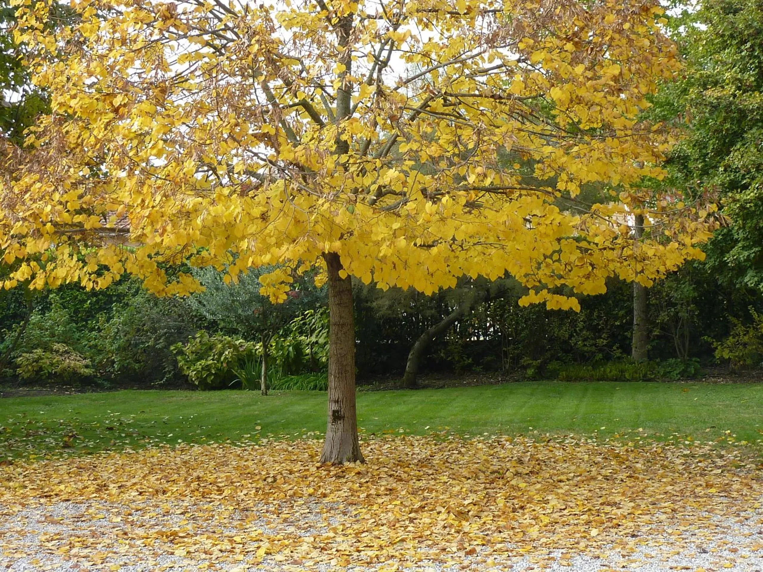 Autumn in B&B La Tamerice