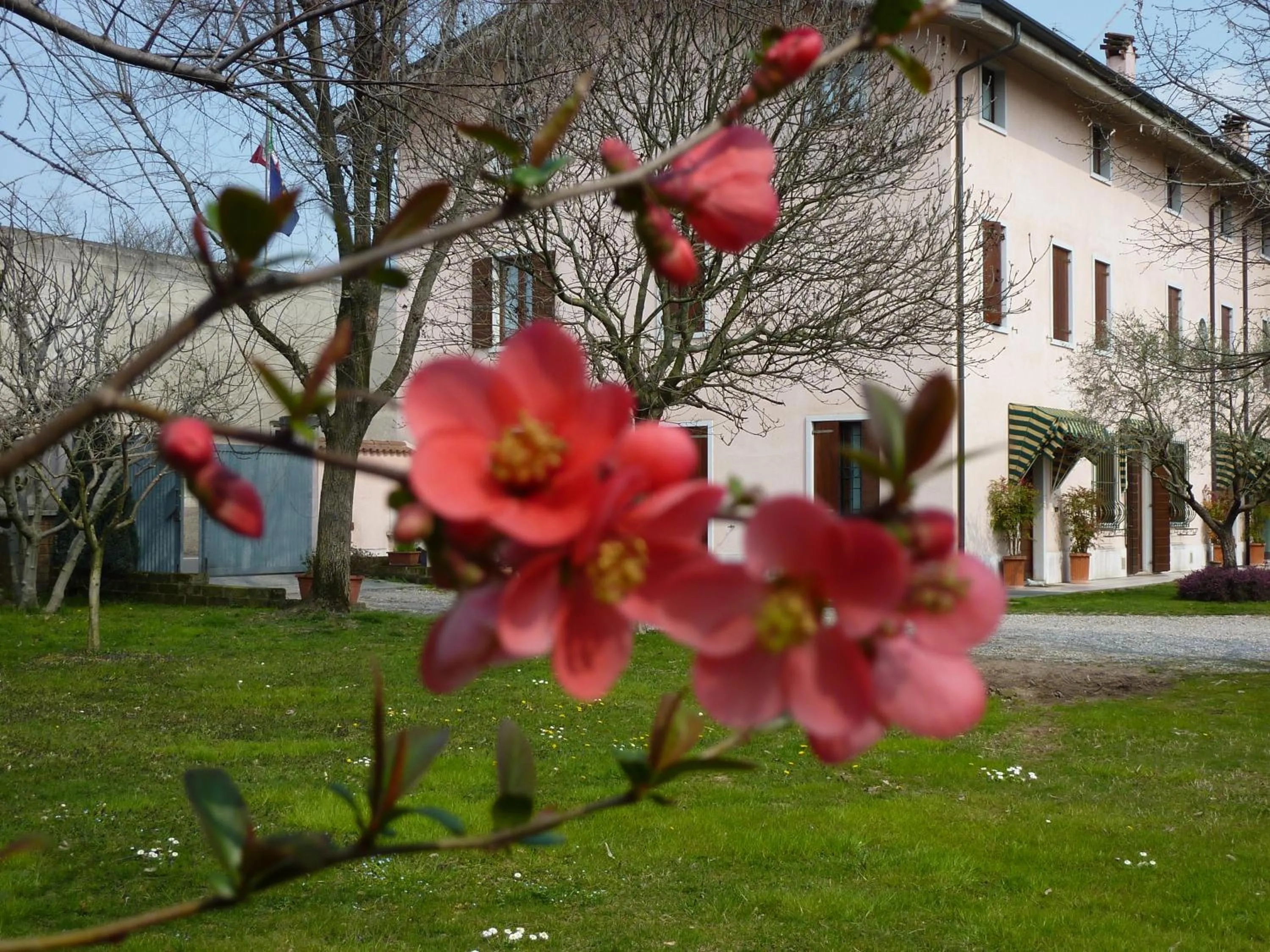 Facade/entrance in B&B La Tamerice