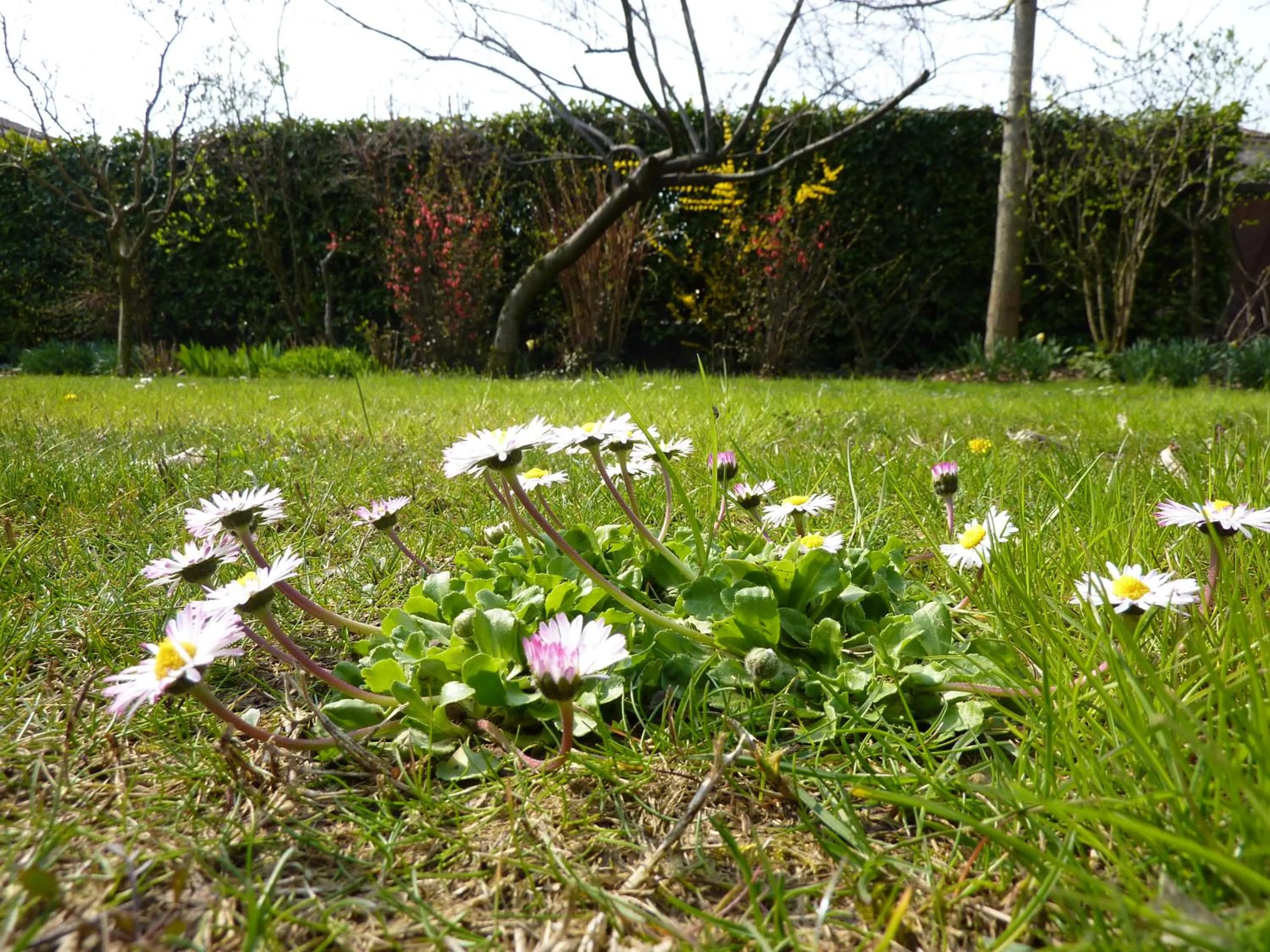 Summer in B&B La Tamerice