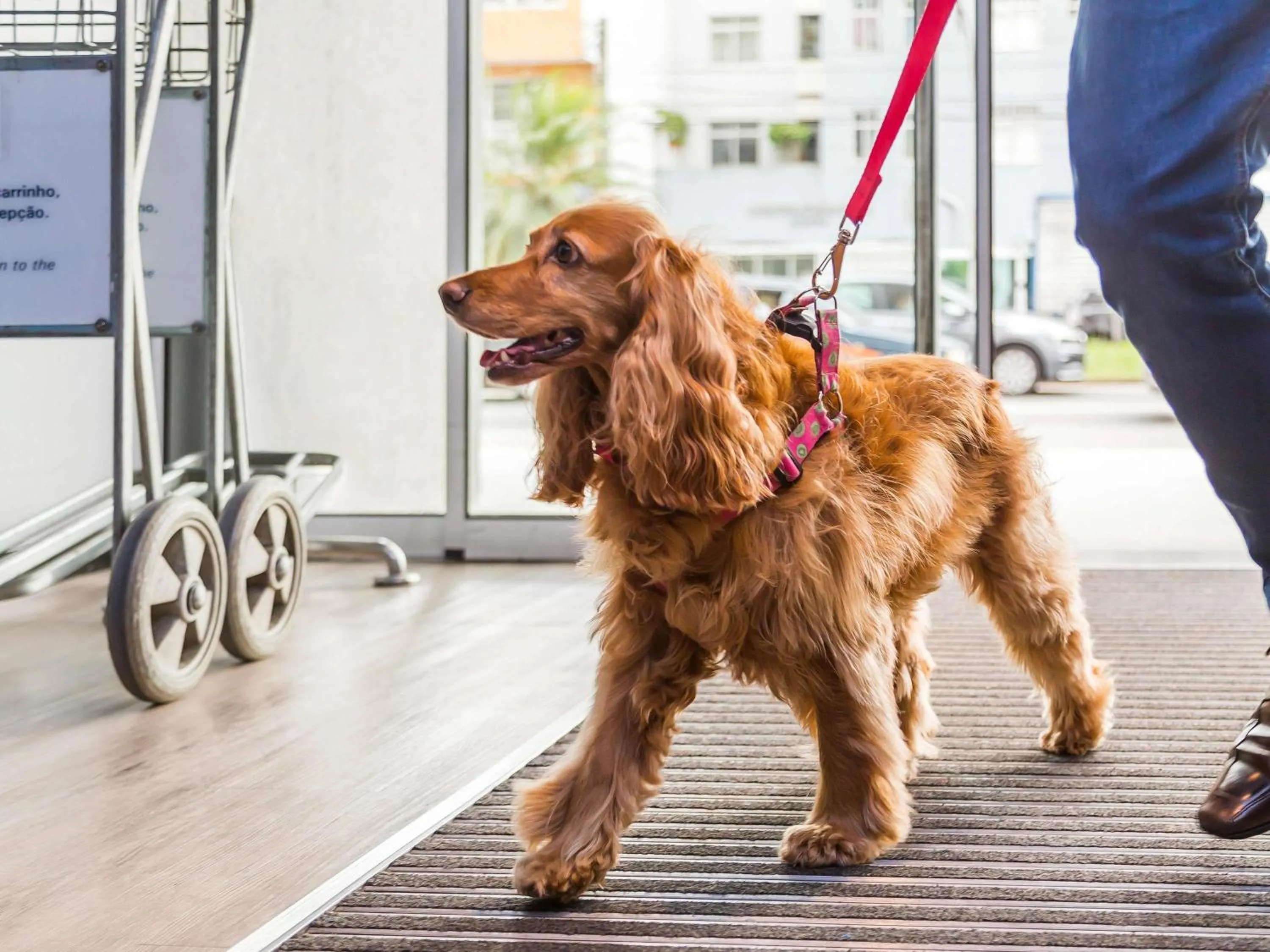 Other in ibis budget Curitiba Centro