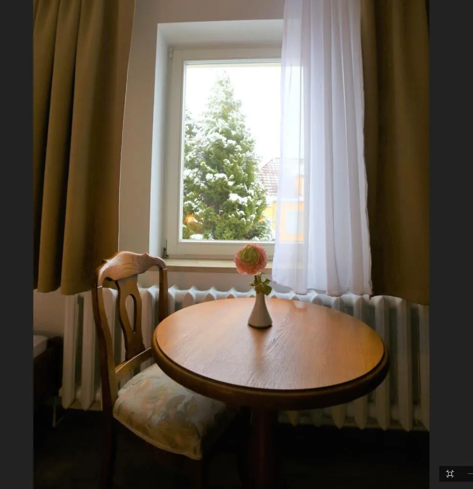 Photo of the whole room in Parkhotel Forsthaus