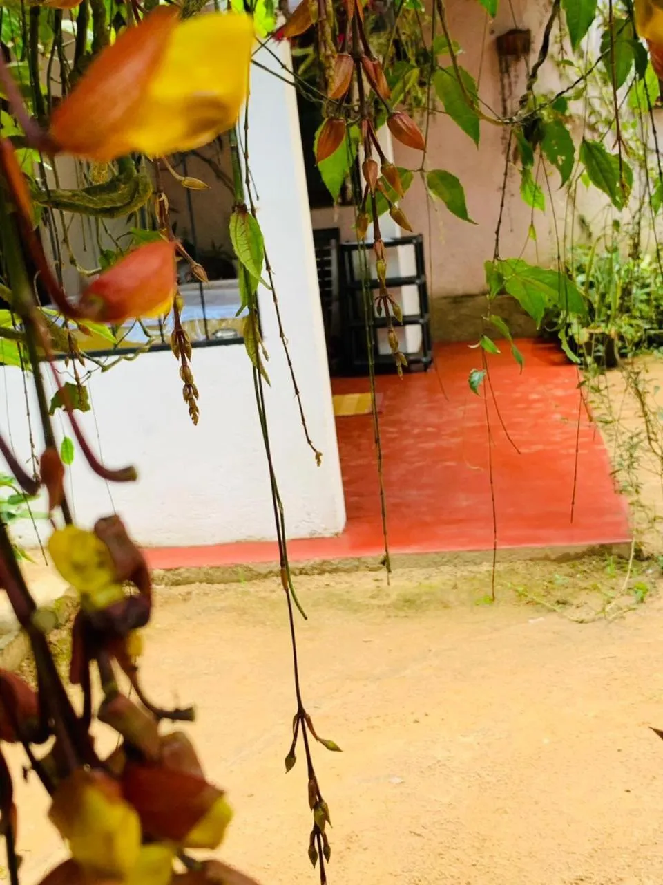 Property building in Little Cottage