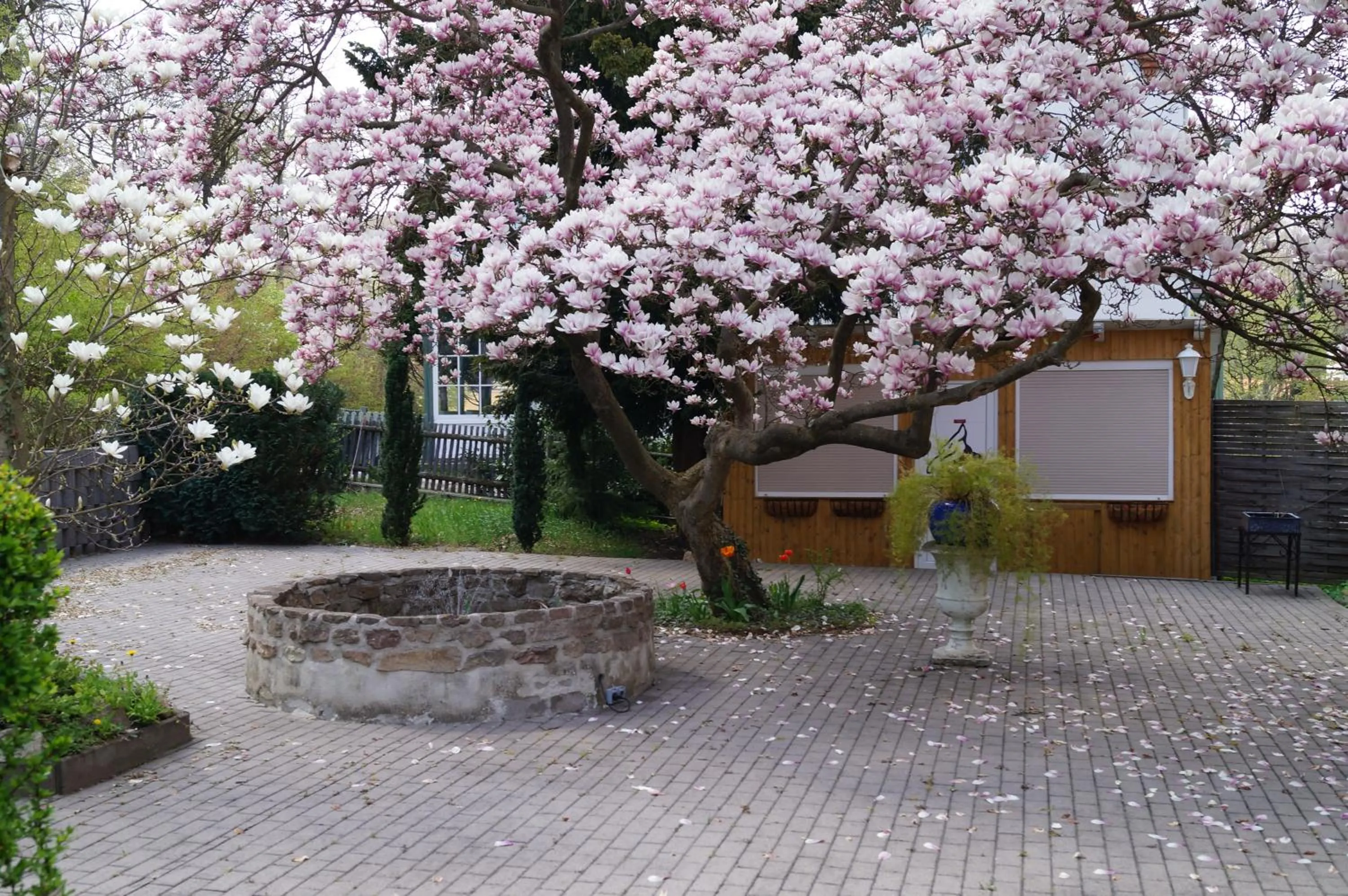 Balcony/Terrace in Hotel Am Kurpark