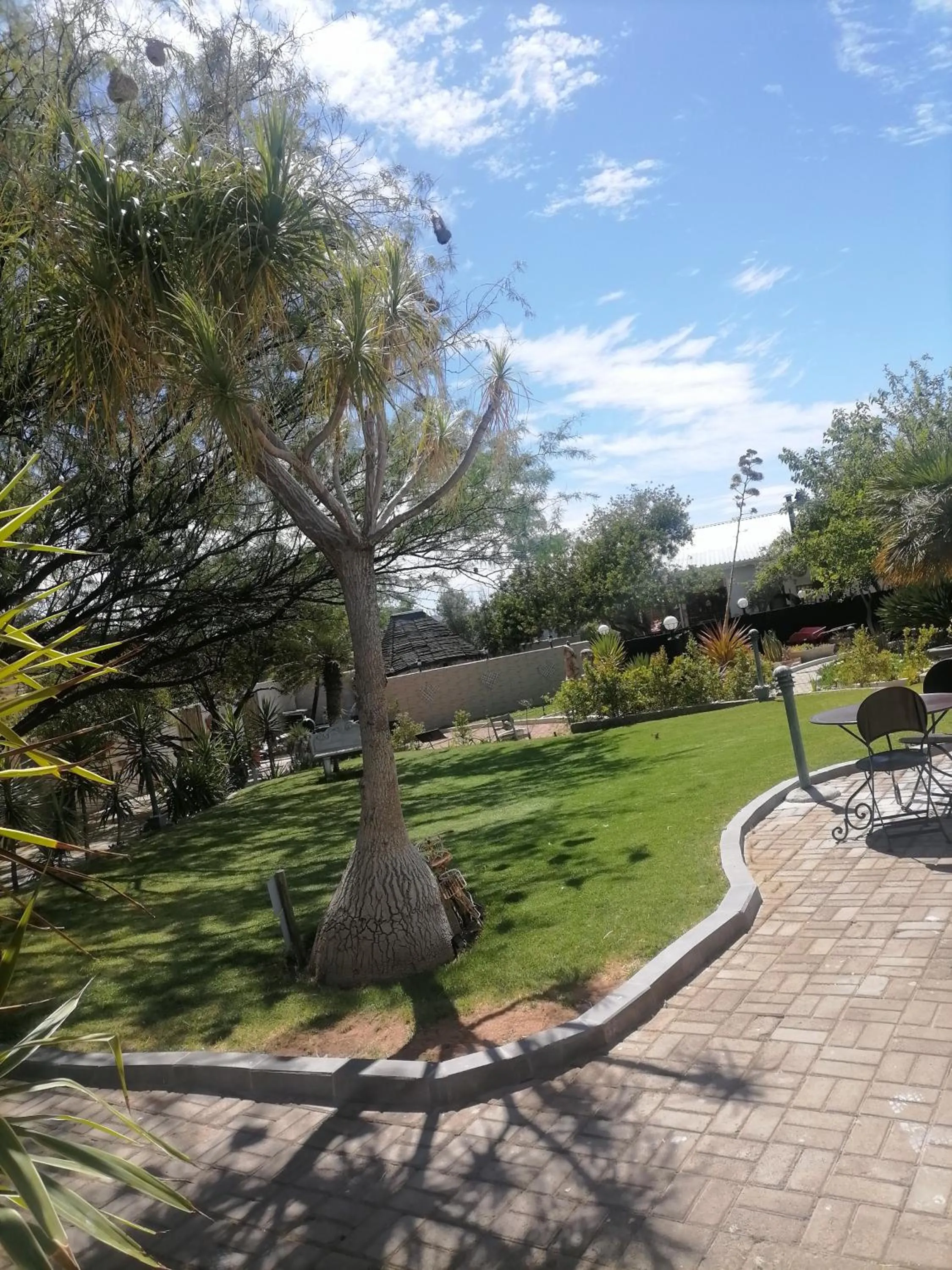Garden in Daisy Country Lodge