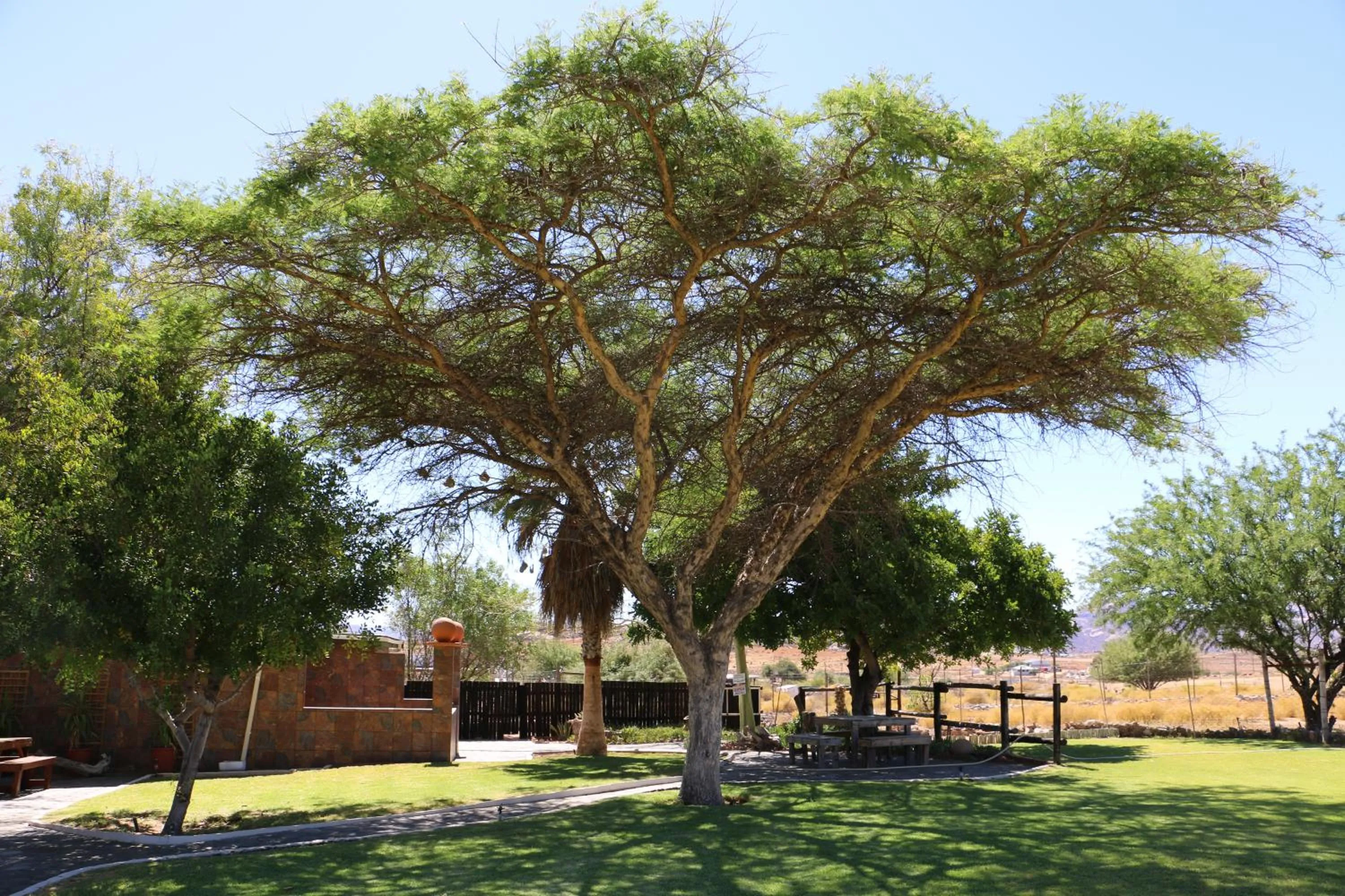 Garden in Daisy Country Lodge
