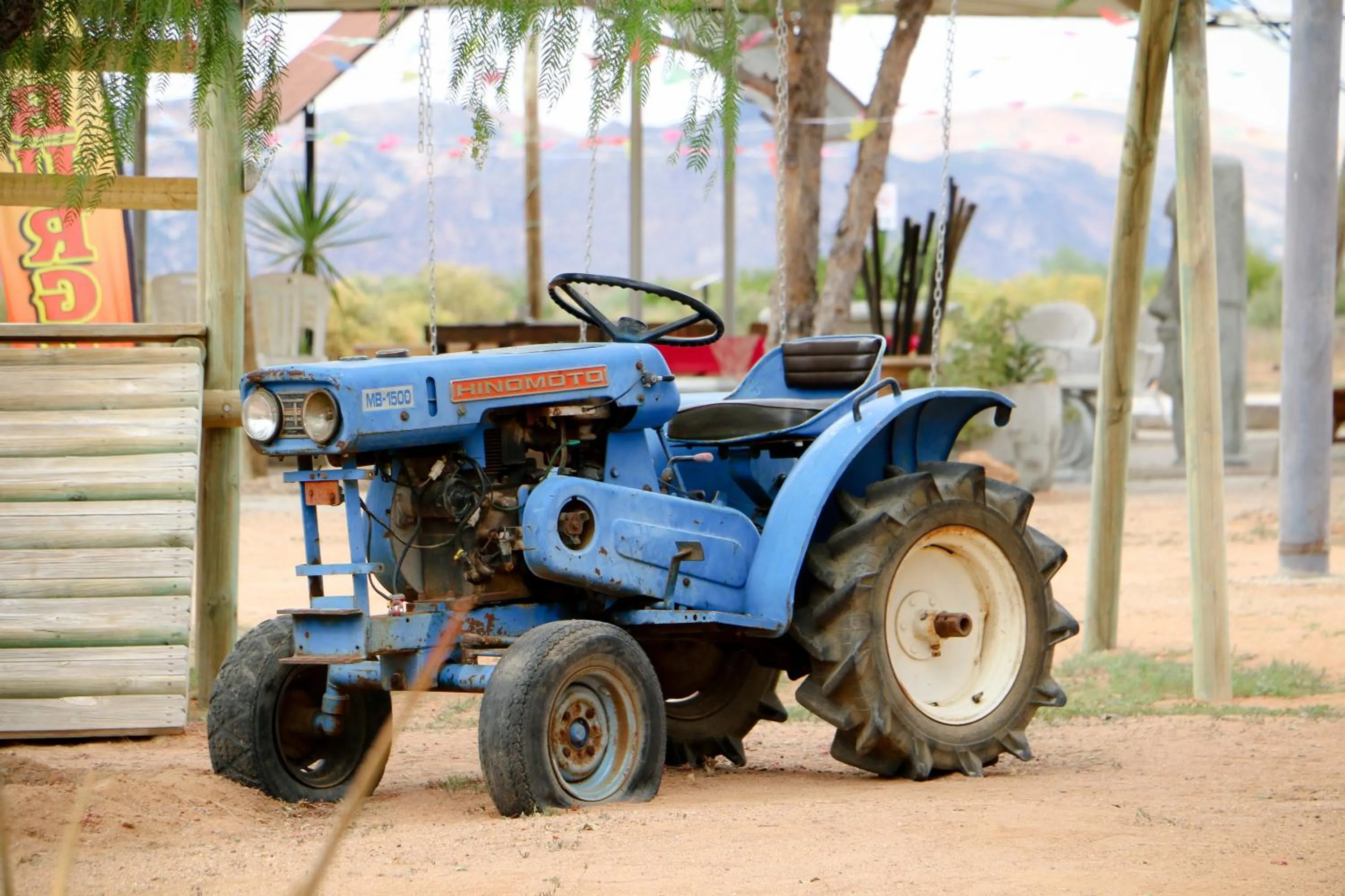 Day in Daisy Country Lodge