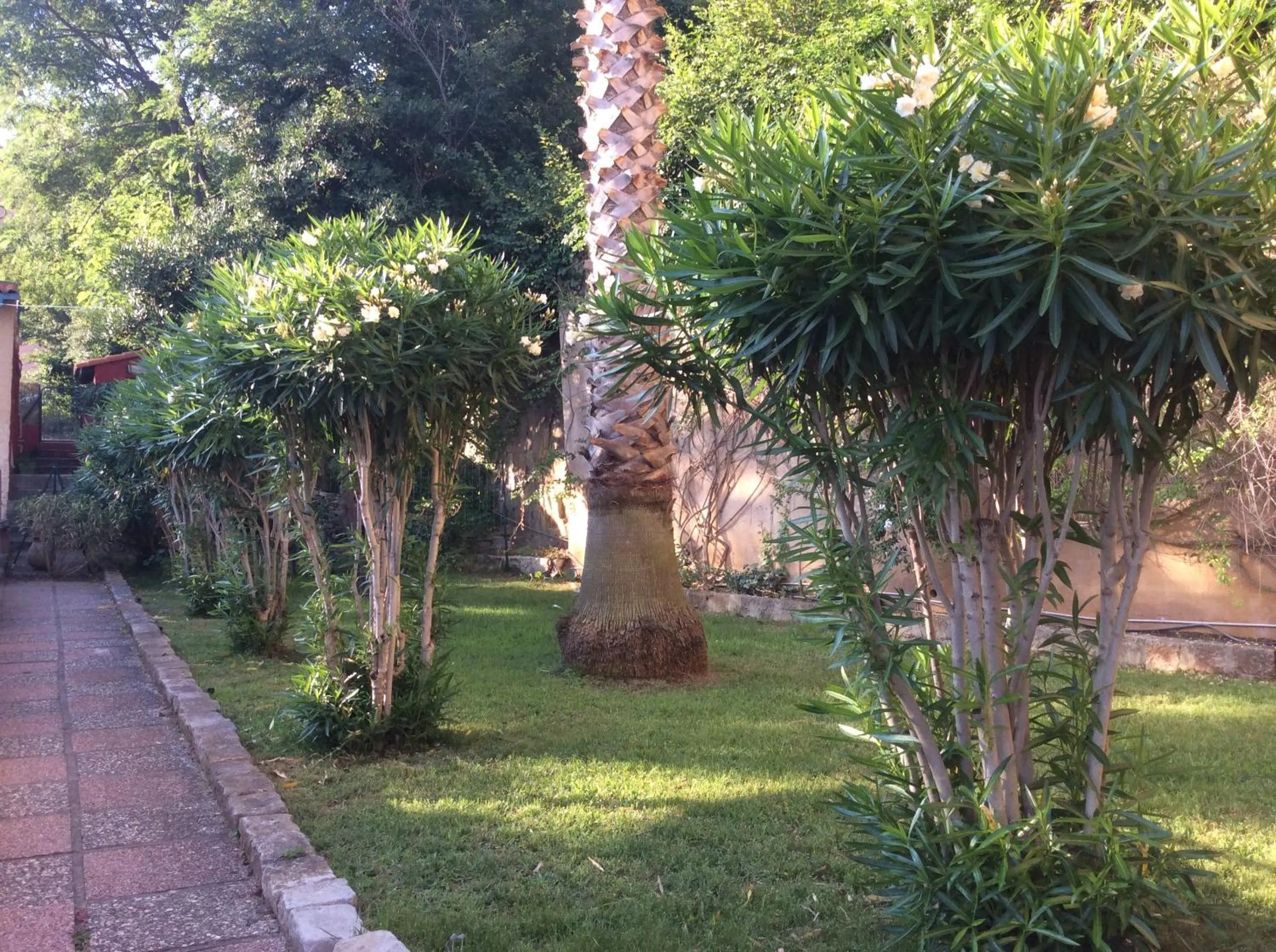 Garden in Hotel Le Bon Port