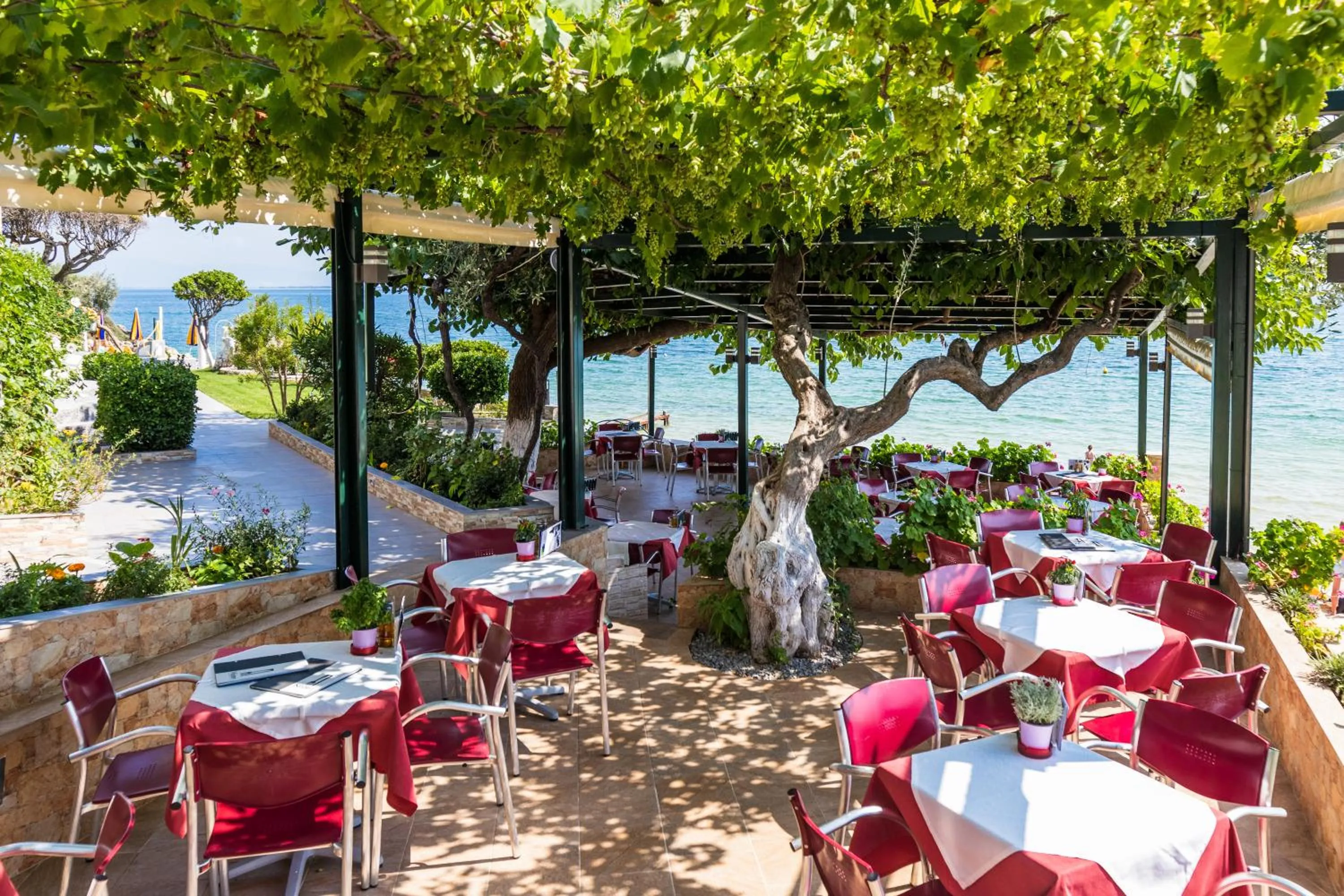 Restaurant/places to eat in Hotel Villa Nisteri