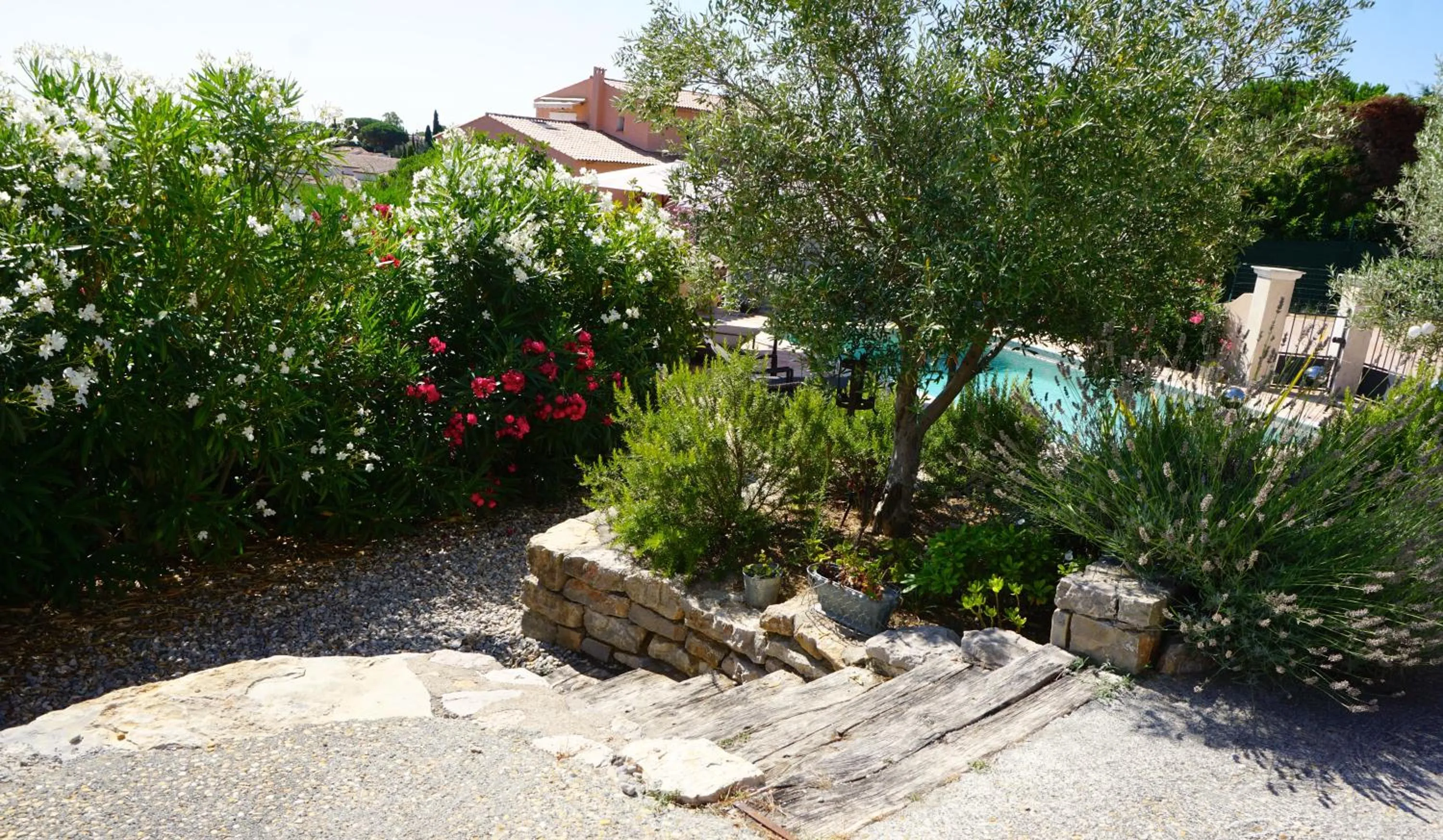 Garden in Lone Star House