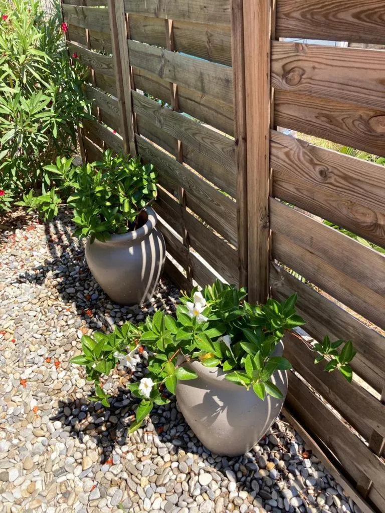 Garden in Lone Star House