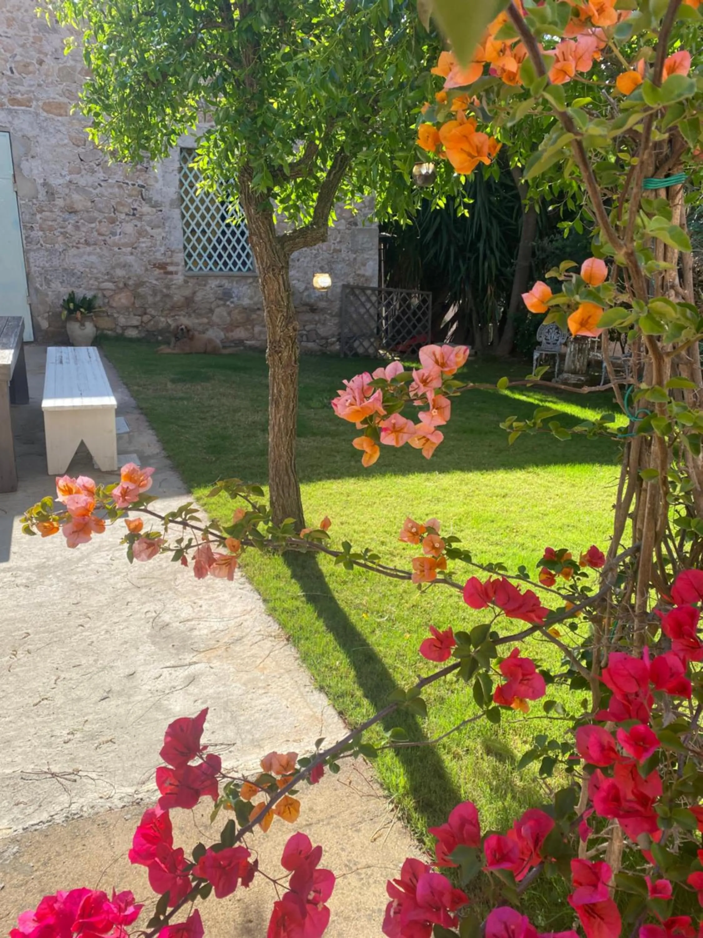 Corte Boero Bed&Breakfast