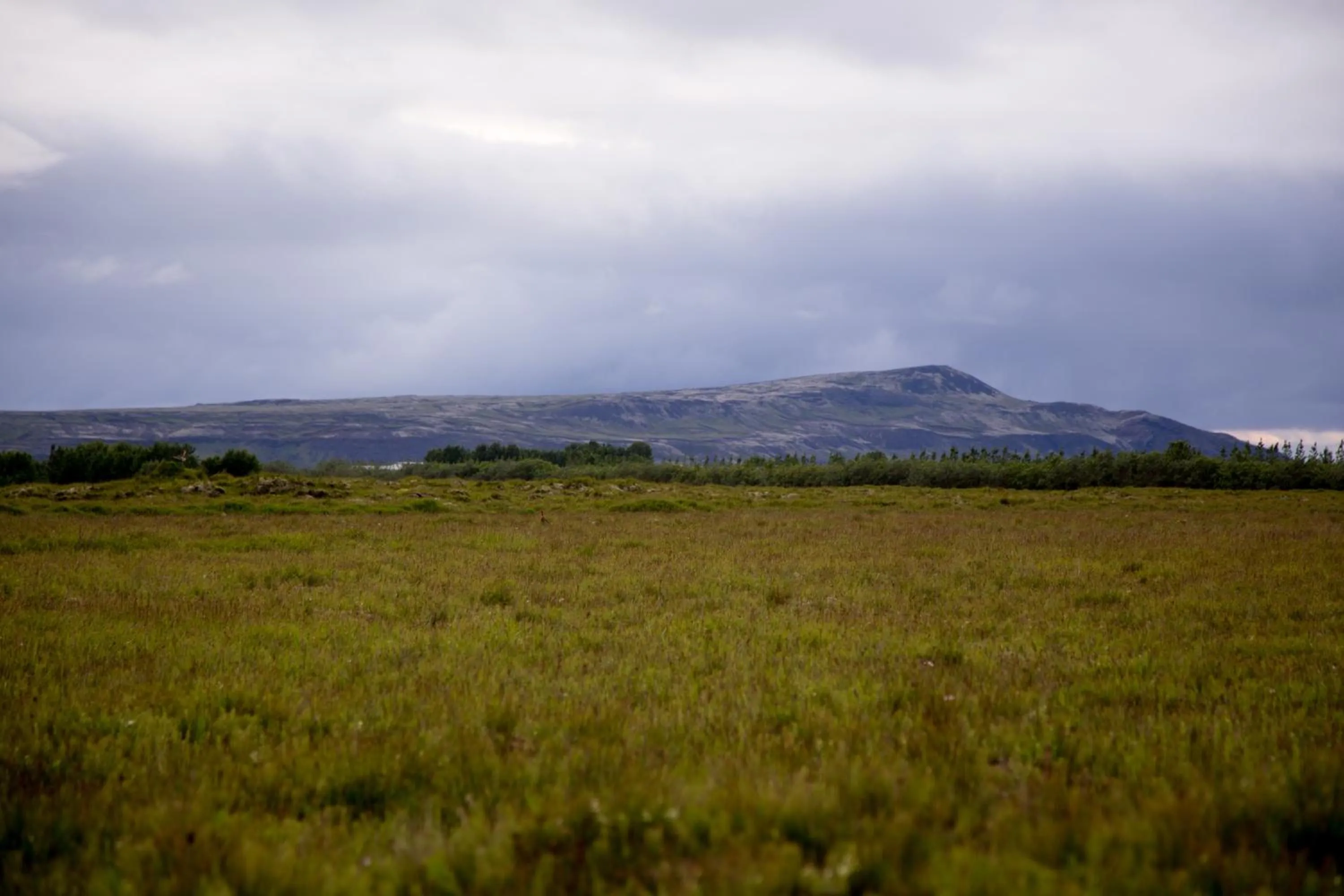 Nearby landmark in South Central Guesthouse