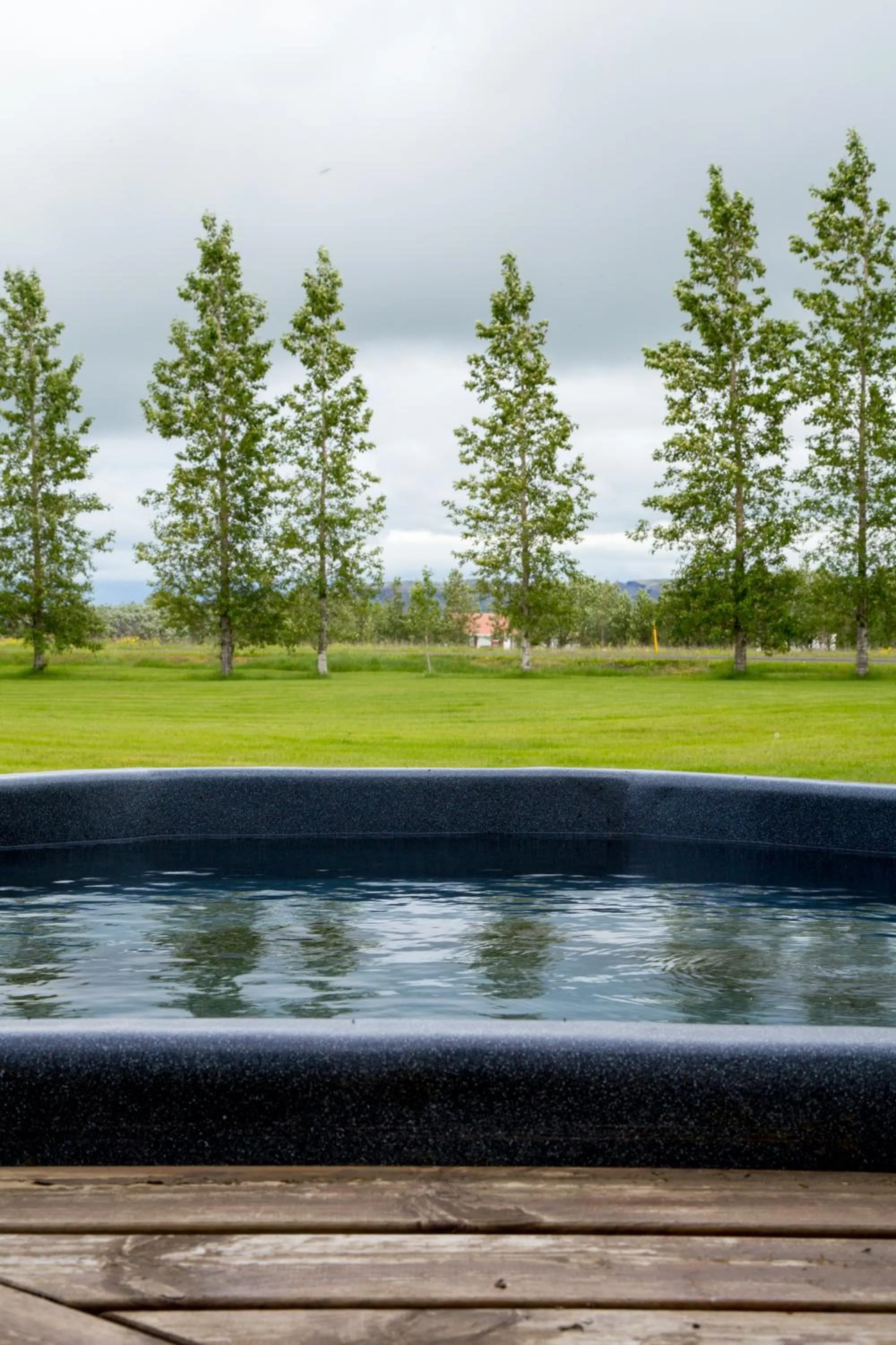 Day in South Central Guesthouse