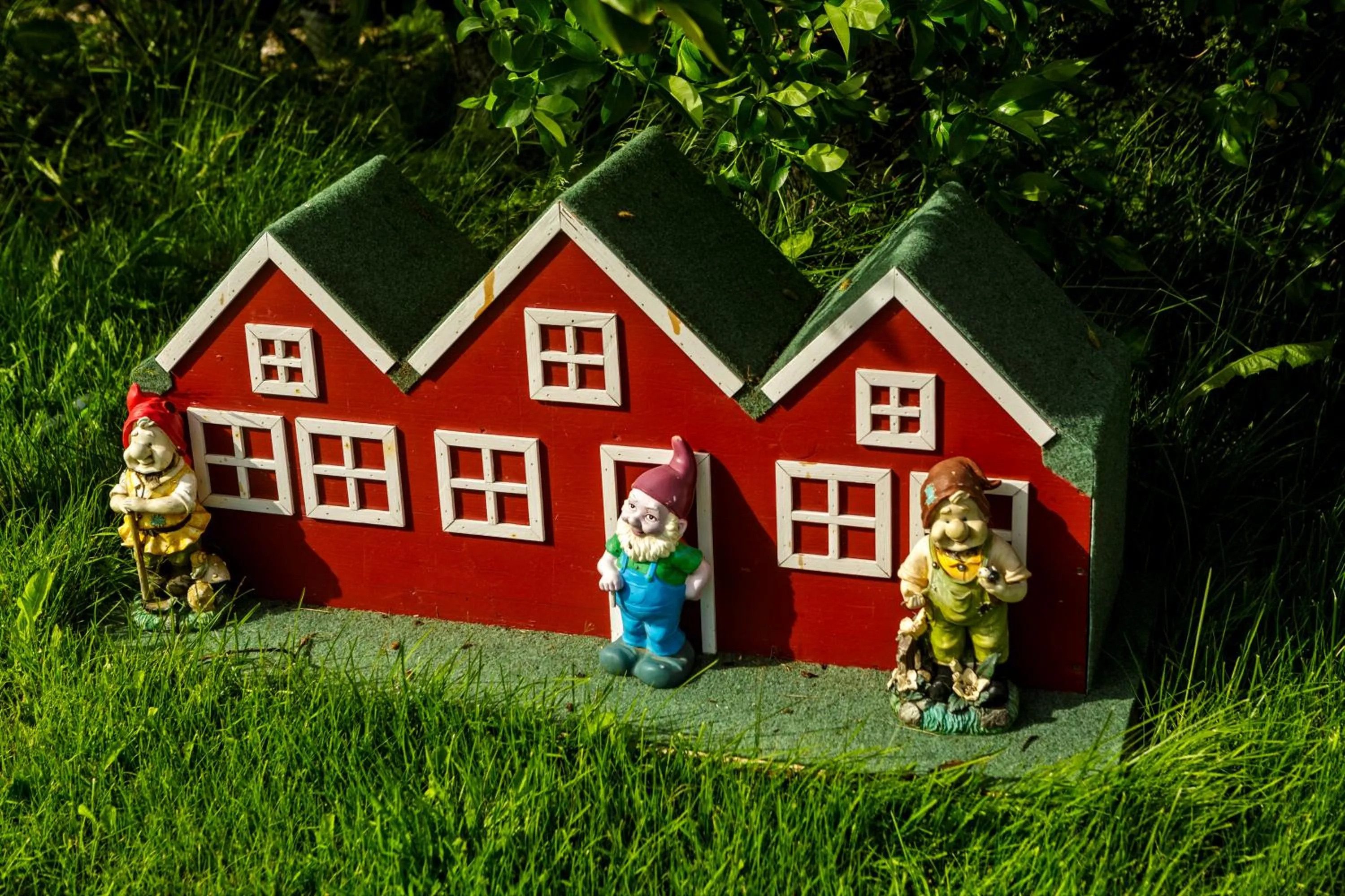 Garden in South Central Guesthouse