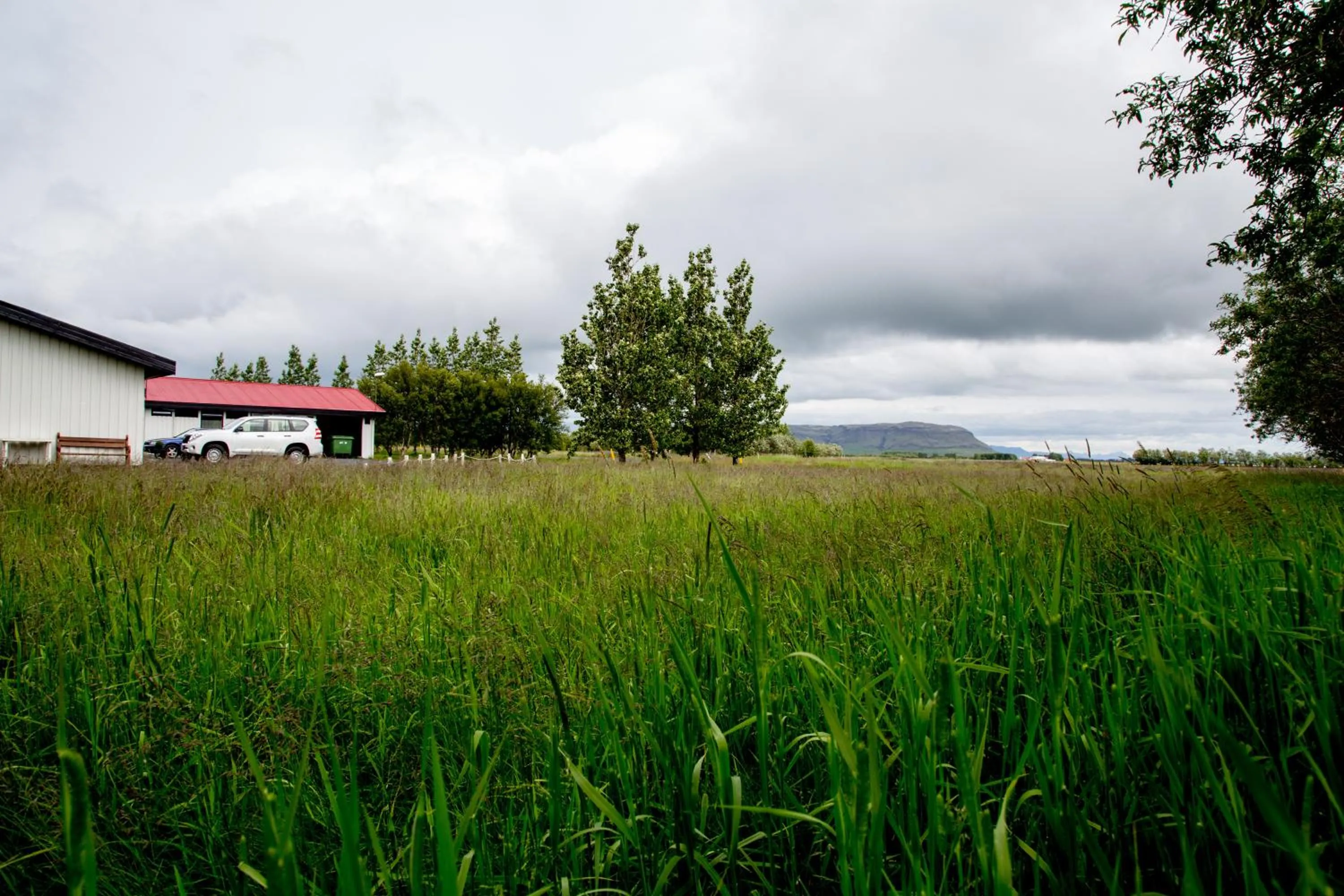 Property building in South Central Guesthouse
