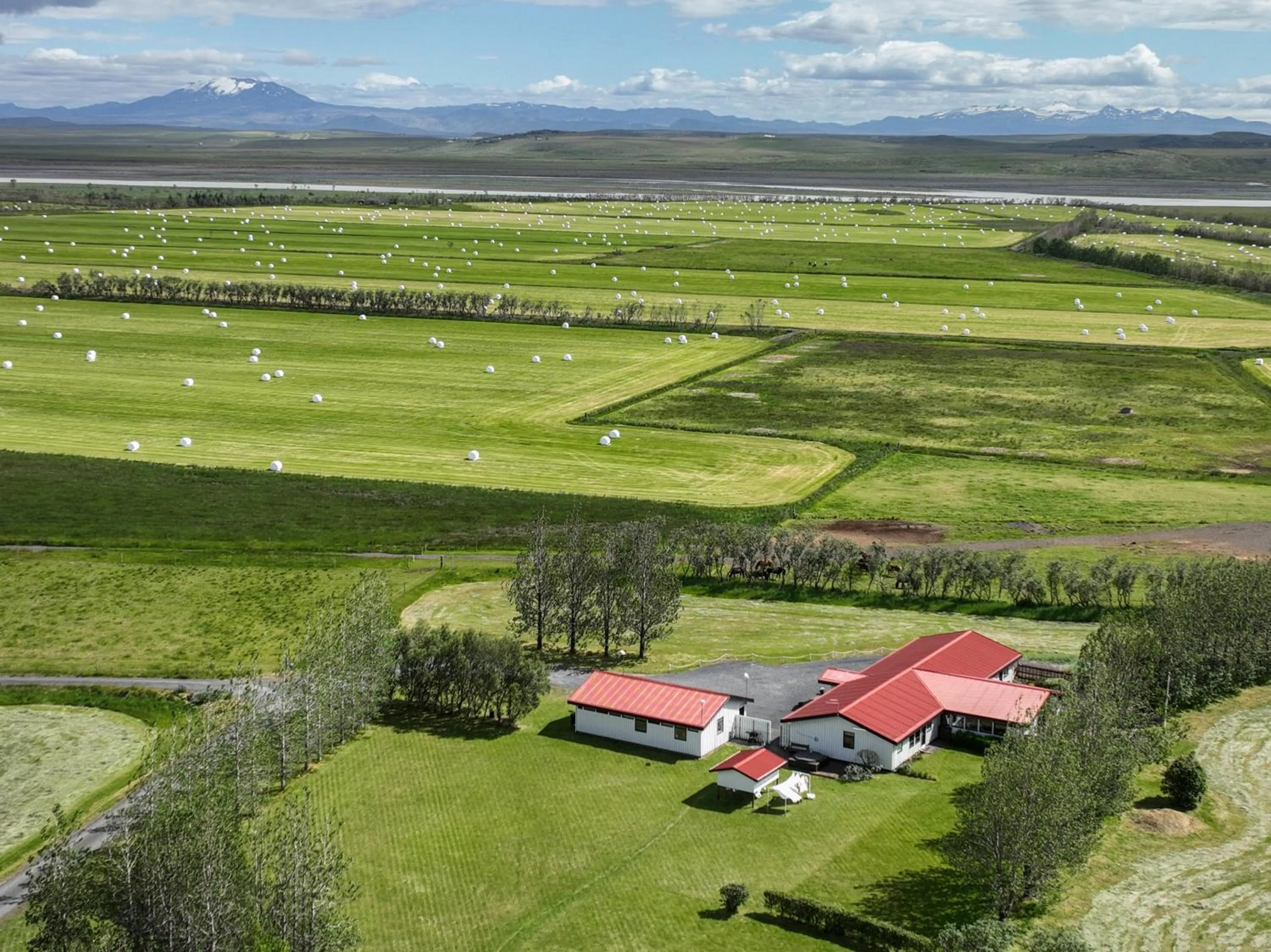 Property building in South Central Guesthouse