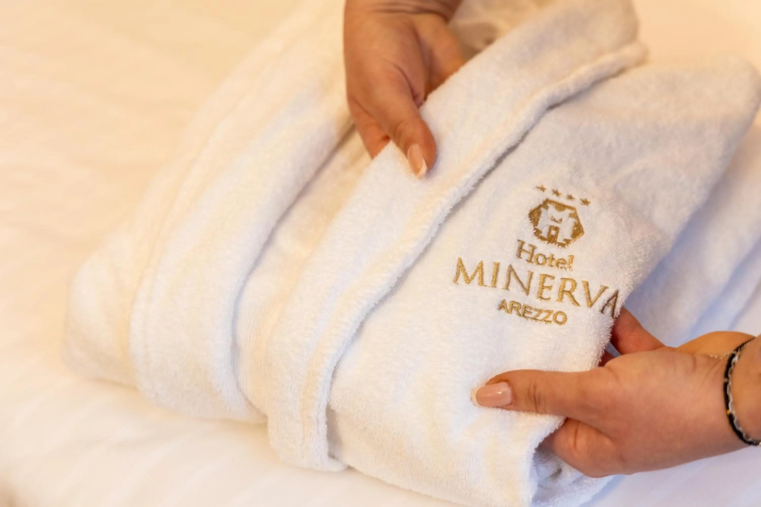 VIP, Bed in Hotel Minerva