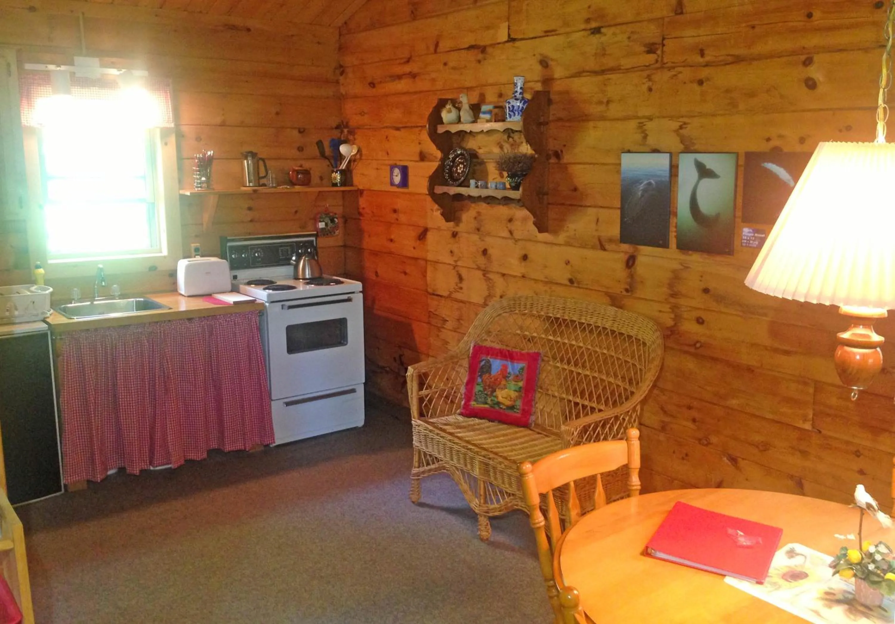 Kitchen or kitchenette in Vipilodge